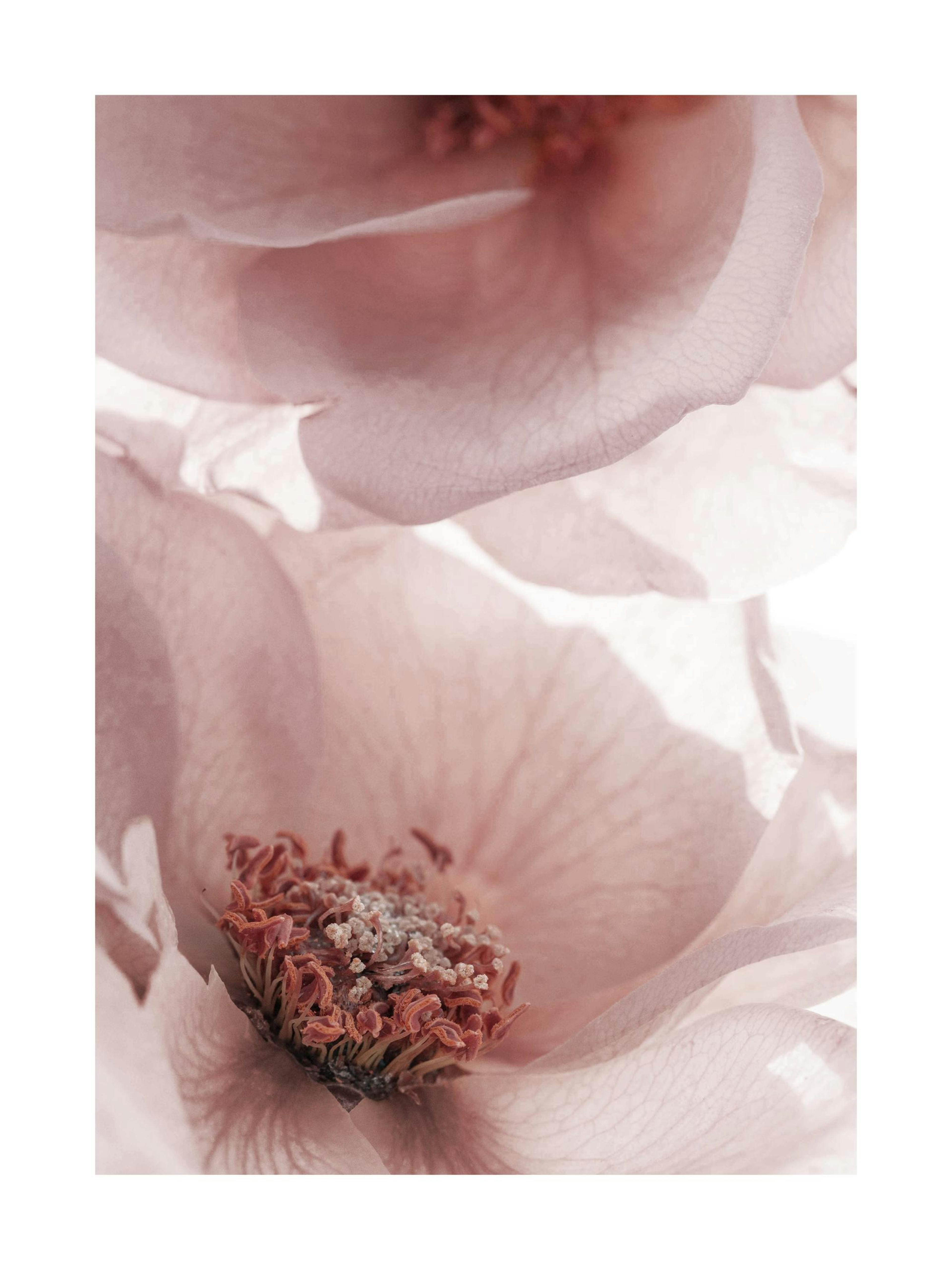 Product image: 1