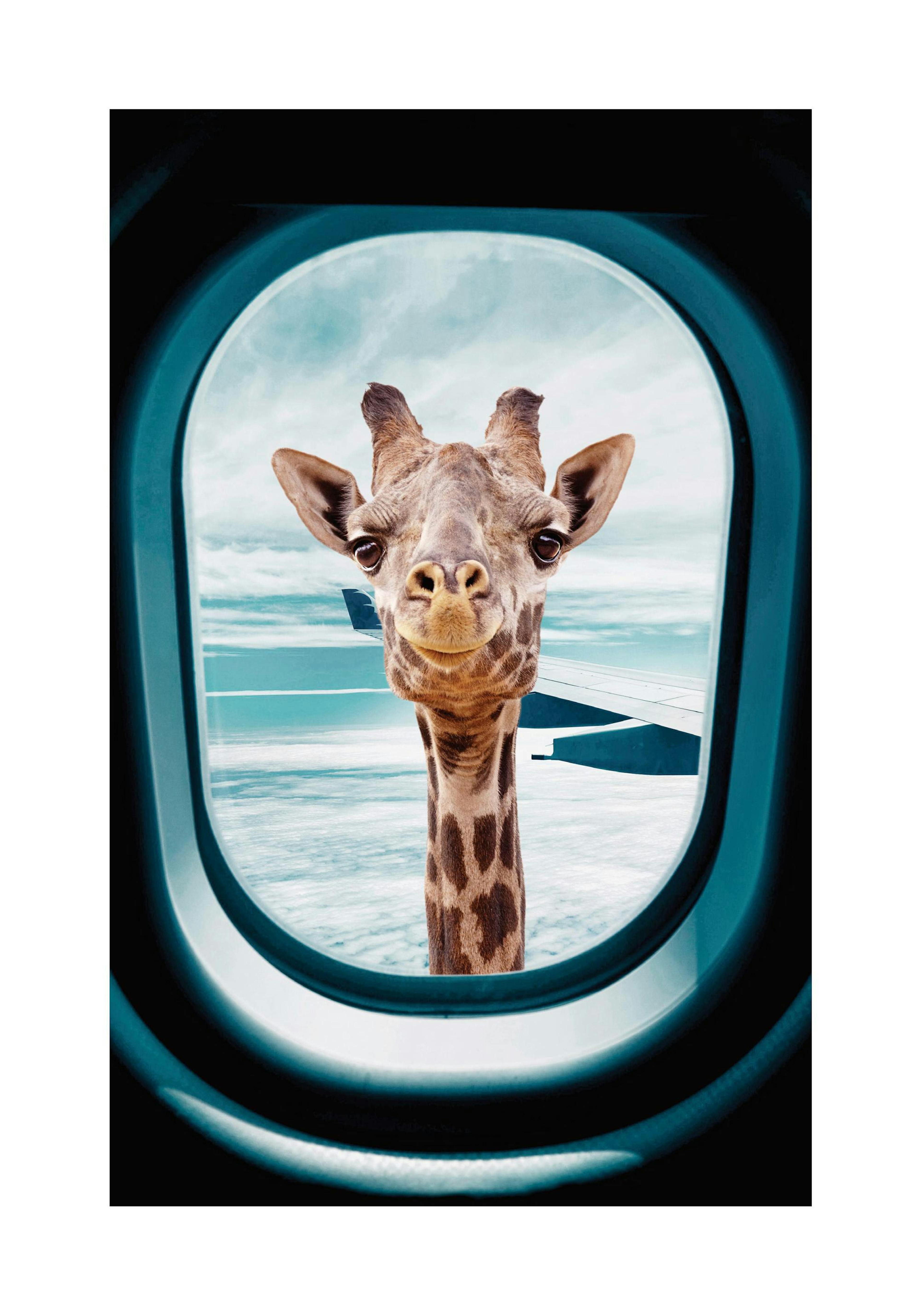 Peek-A-Boo Giraffe Plakat