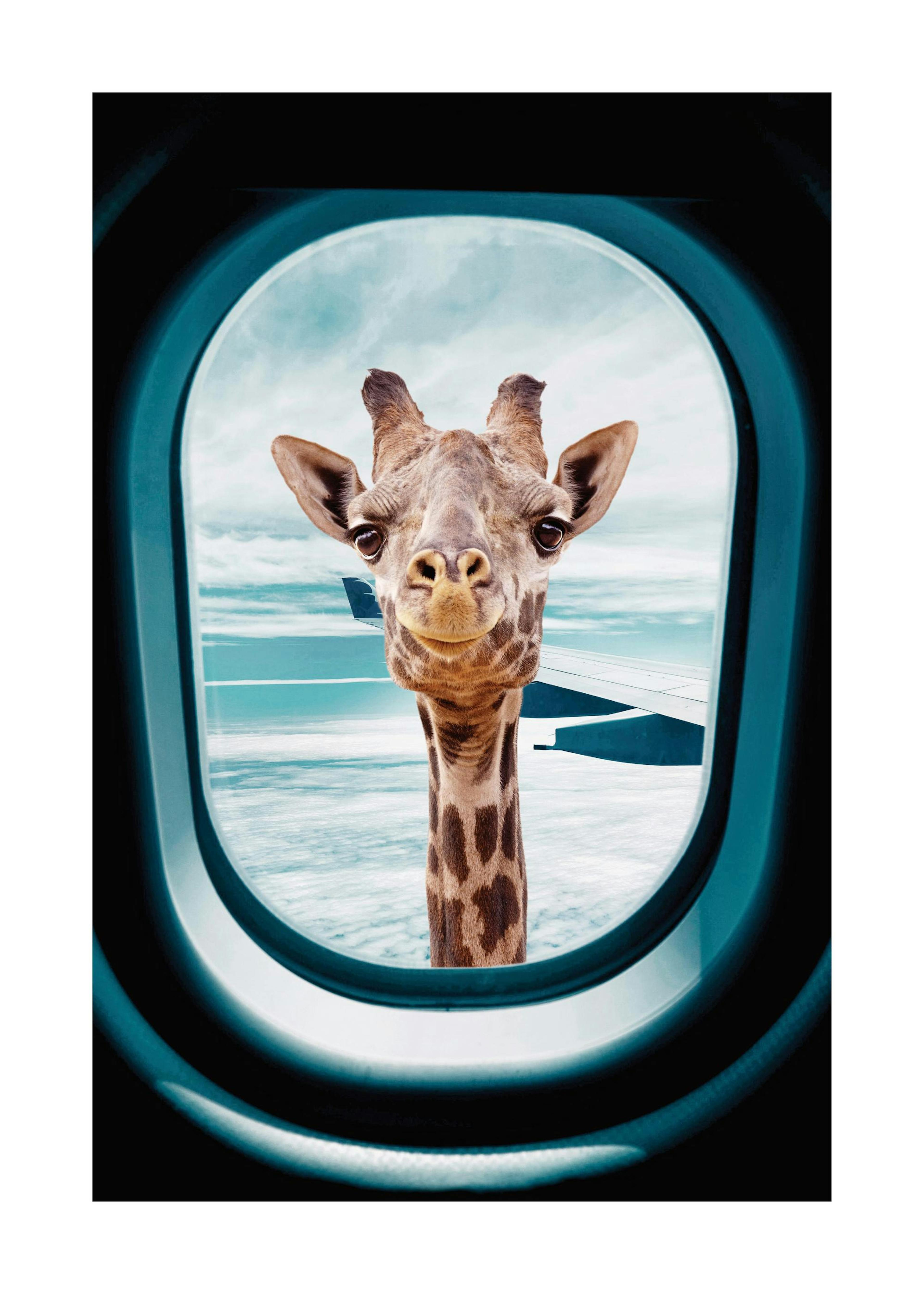 Peek-A-Boo Giraffe Plakat 0