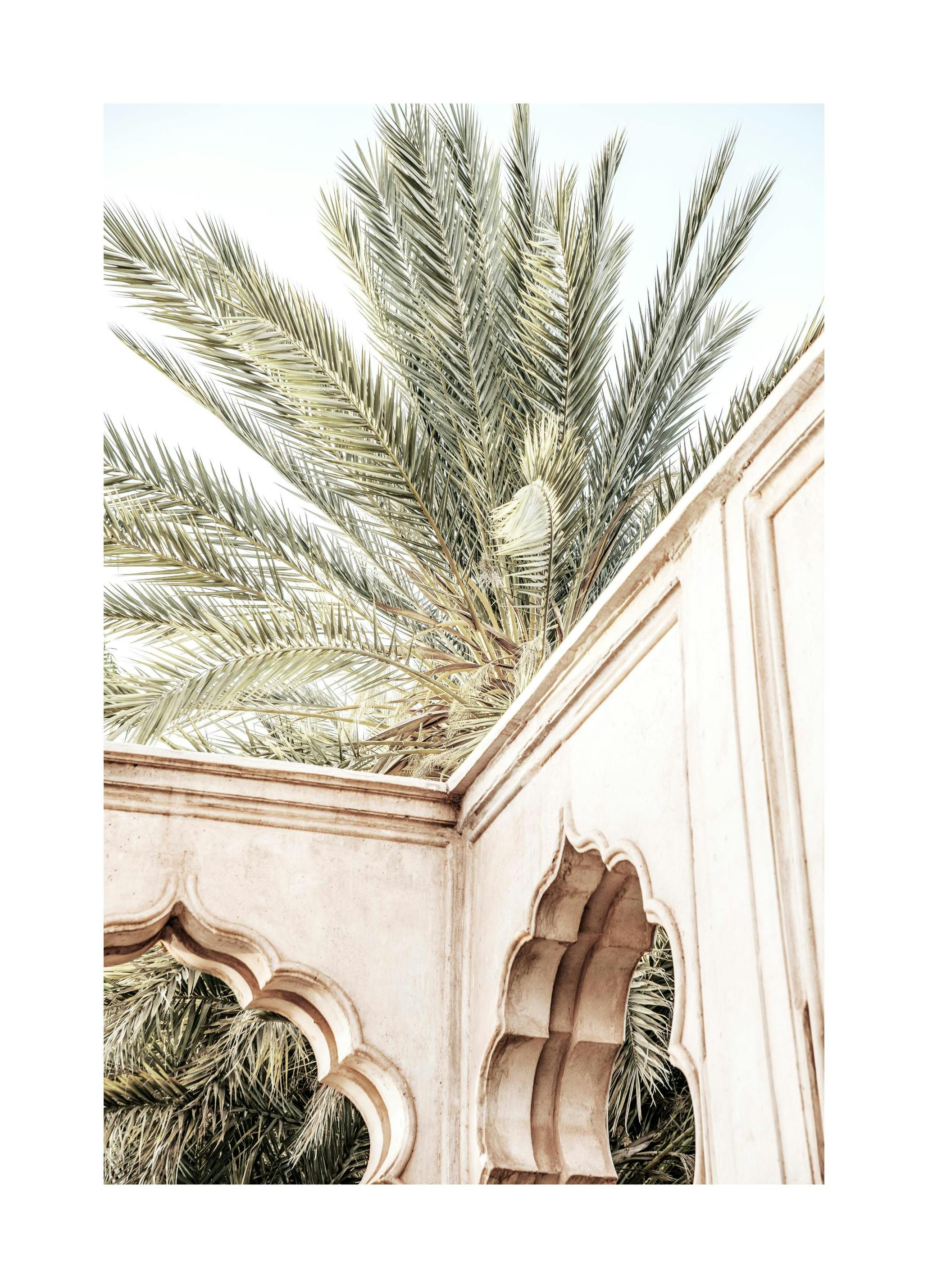 Palm Curves Poster (30x40 cm)