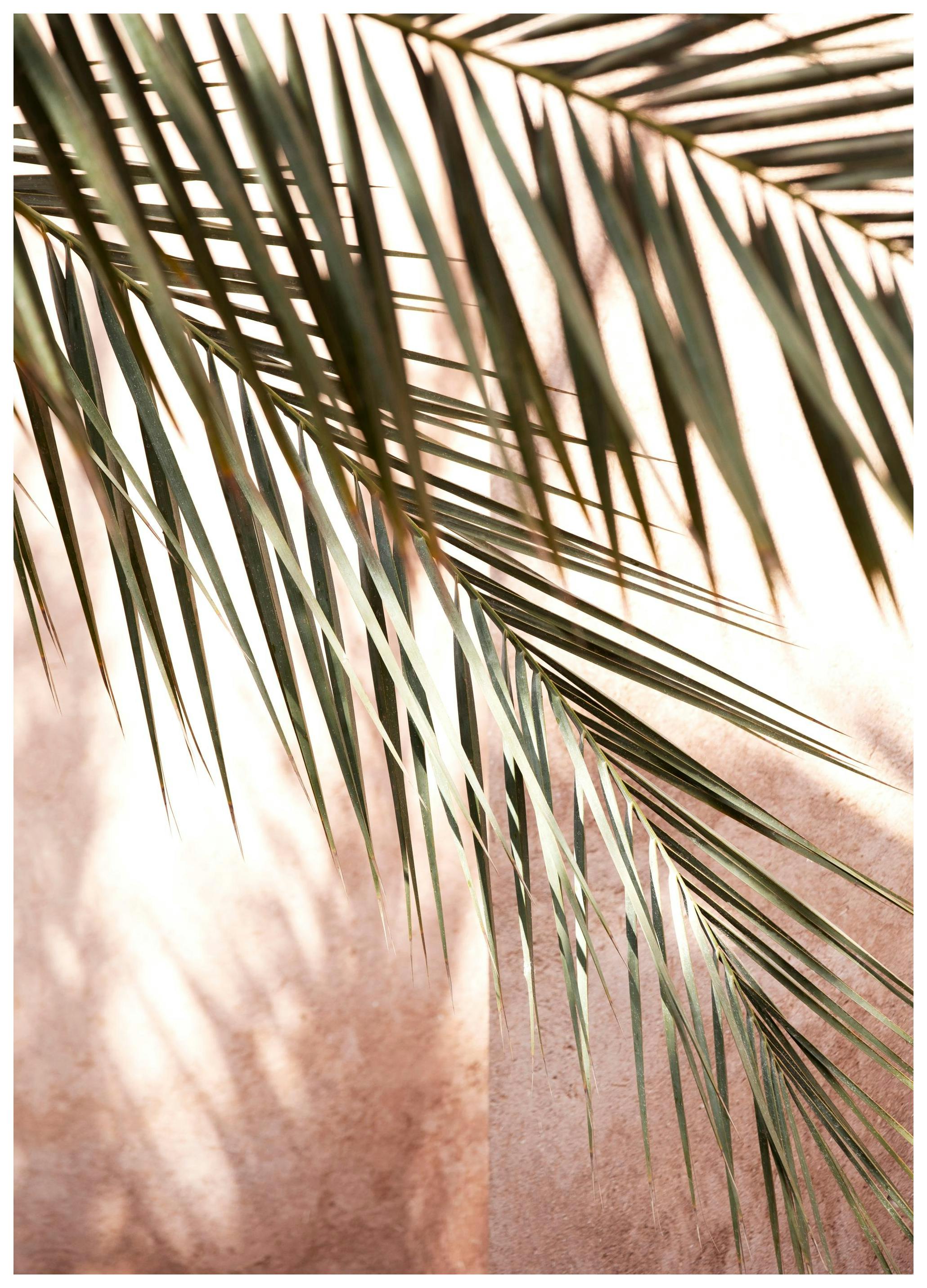 Pink Shadow Poster (21x30 cm) - Fotokunst