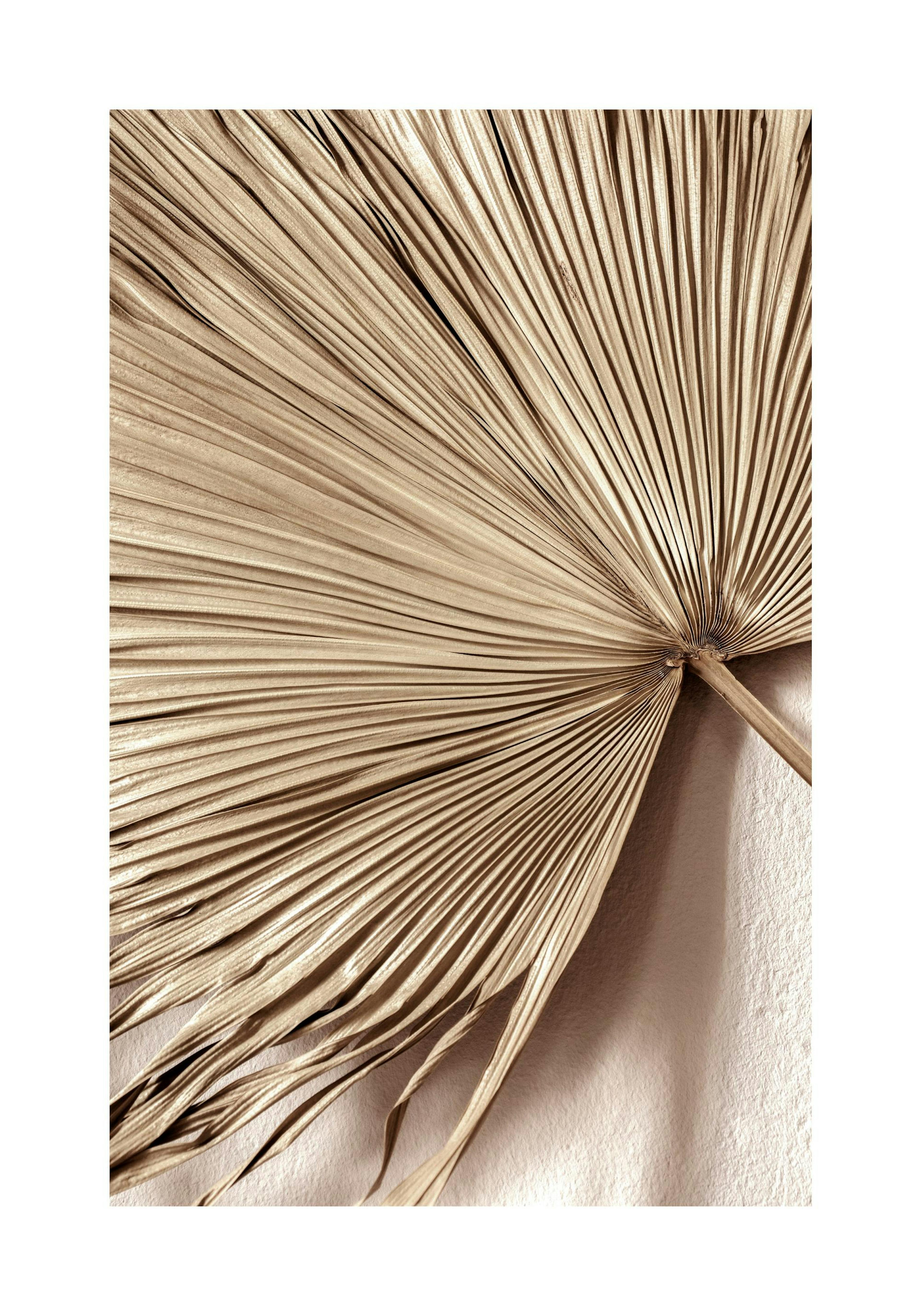 Product image: 1