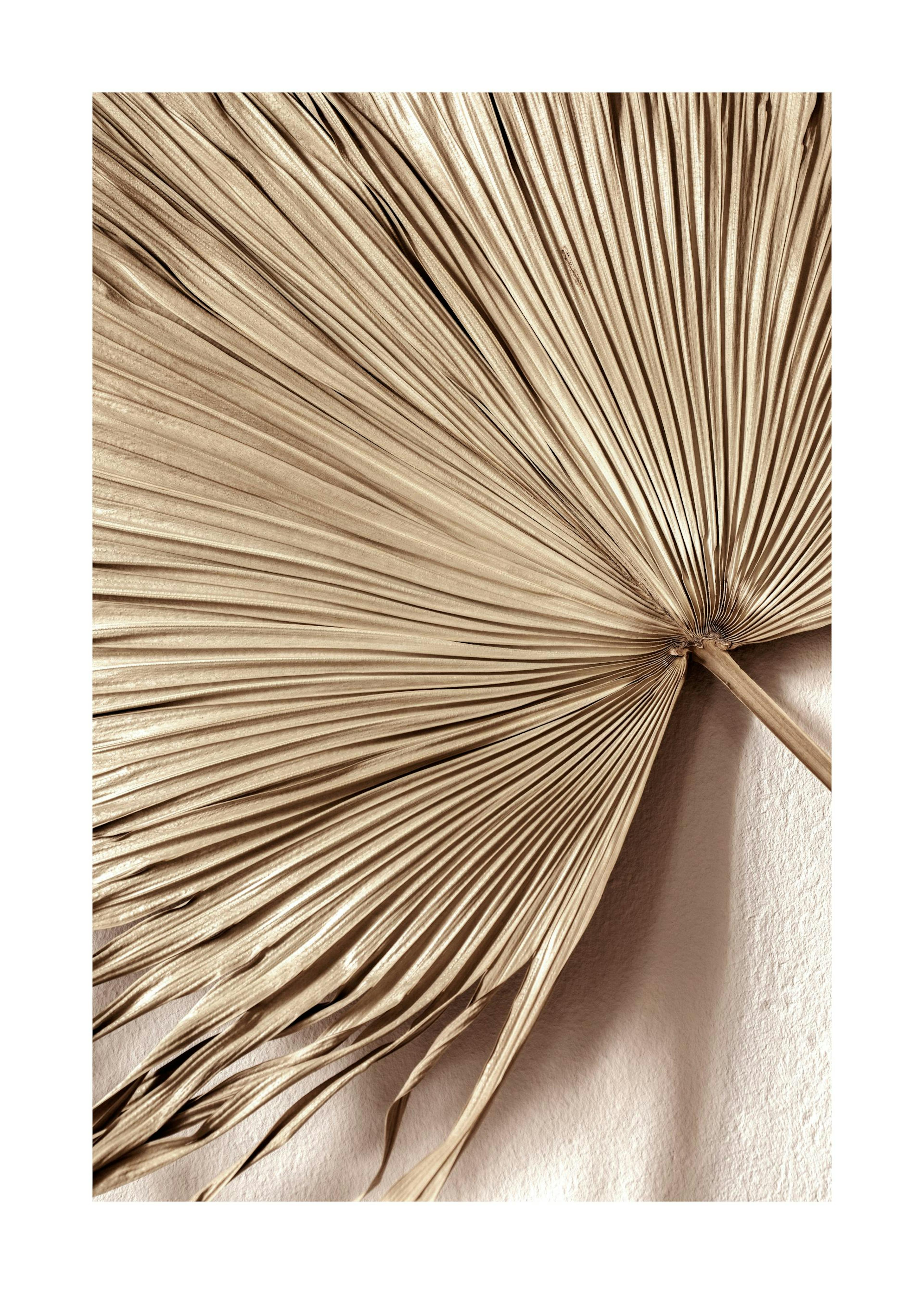 Golden Palm Leaf No1 Plakat 0