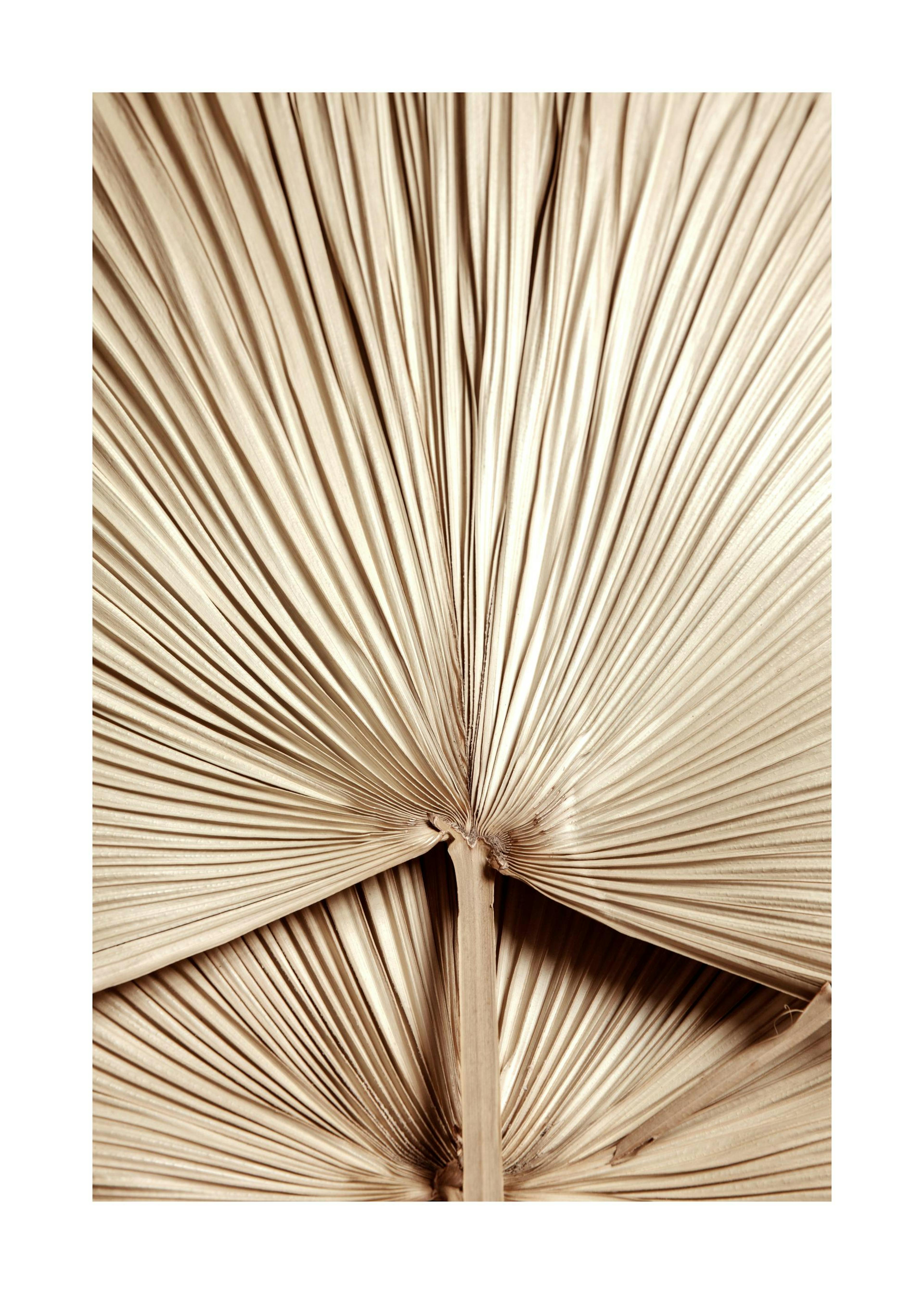 Golden Palm Leaf No2 Print 0