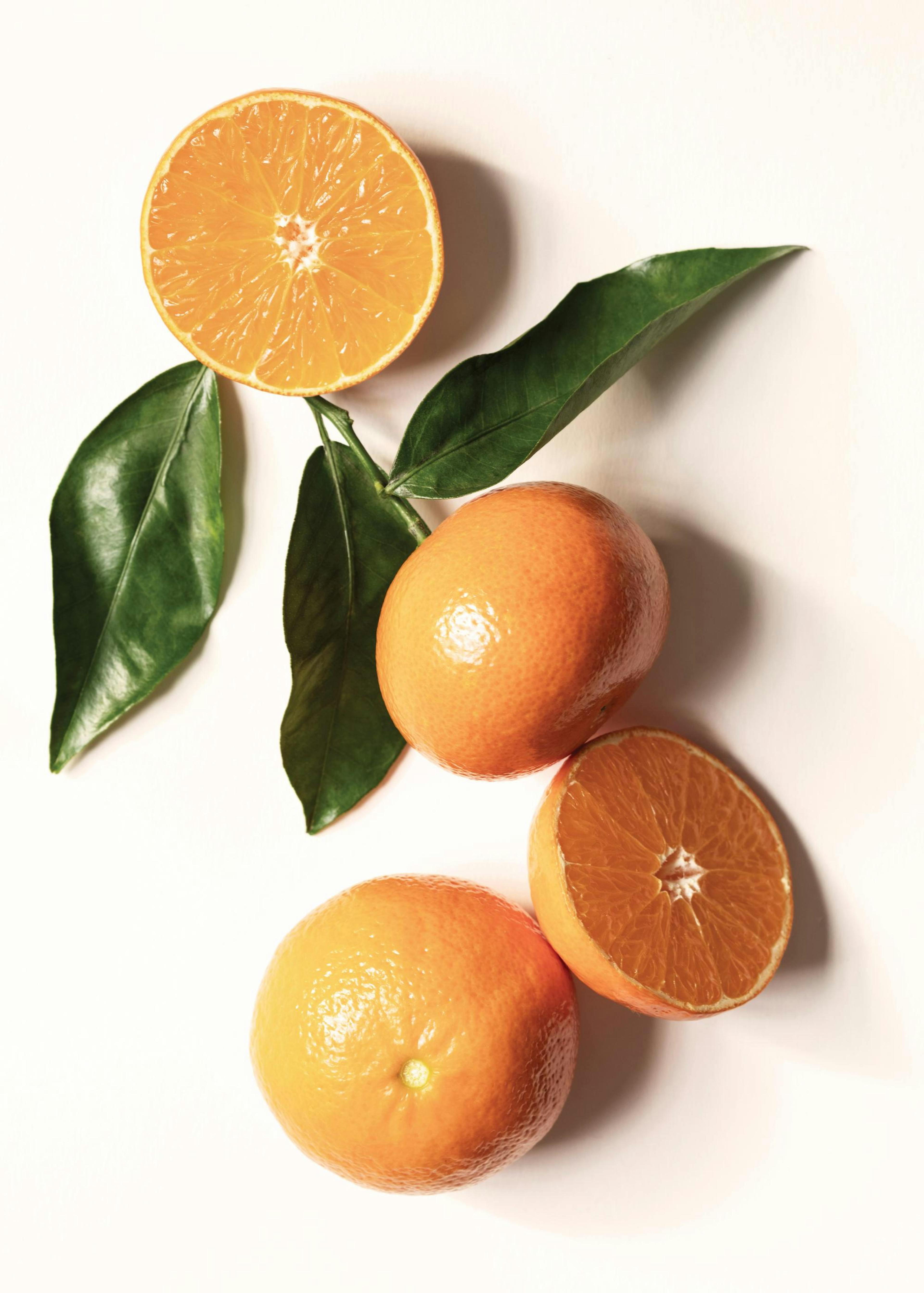 Garden Oranges Affiche 0