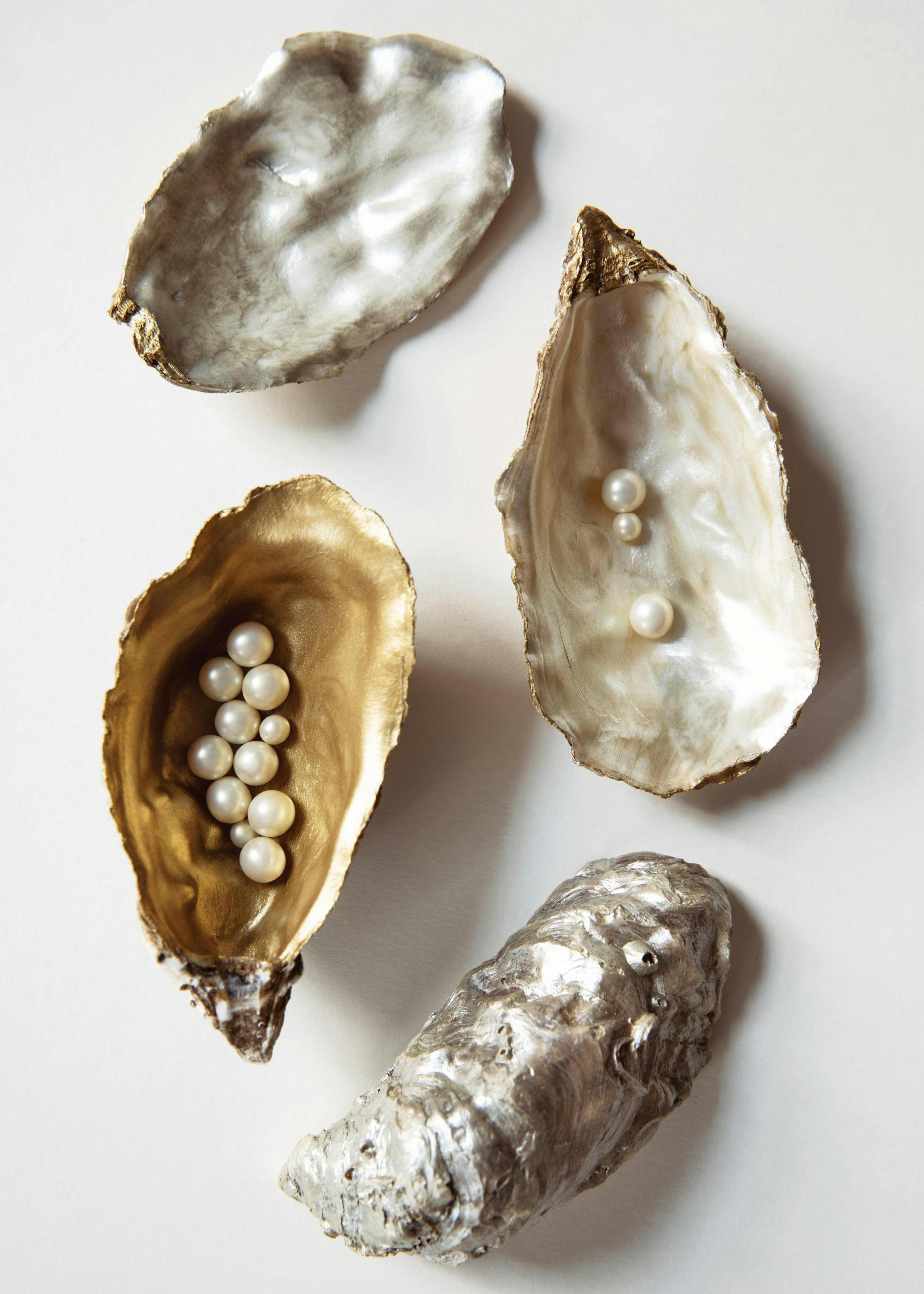 Oyster Shells No1 Poster 0