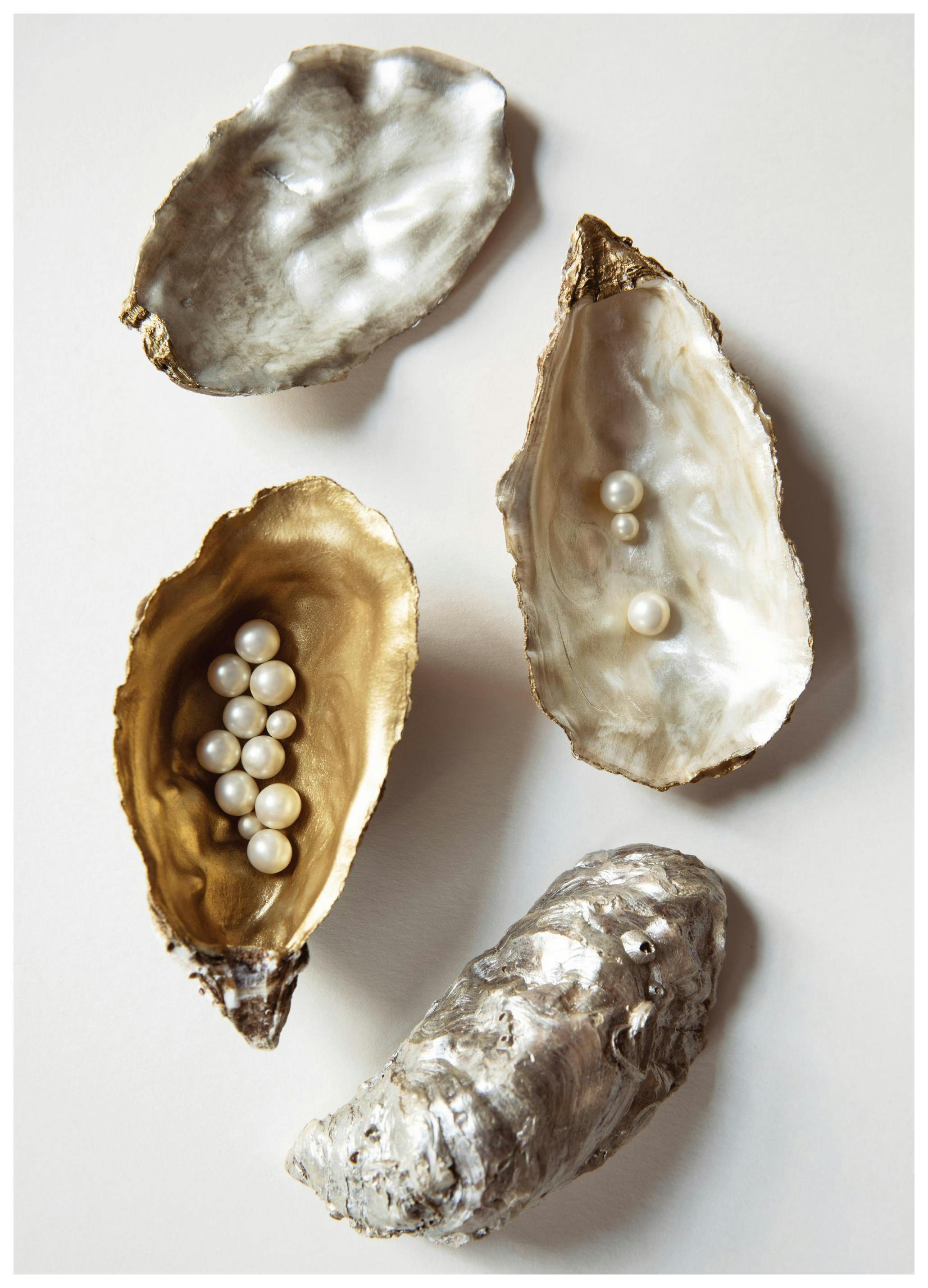 Oyster Shells No1 Poster (30x40 cm)