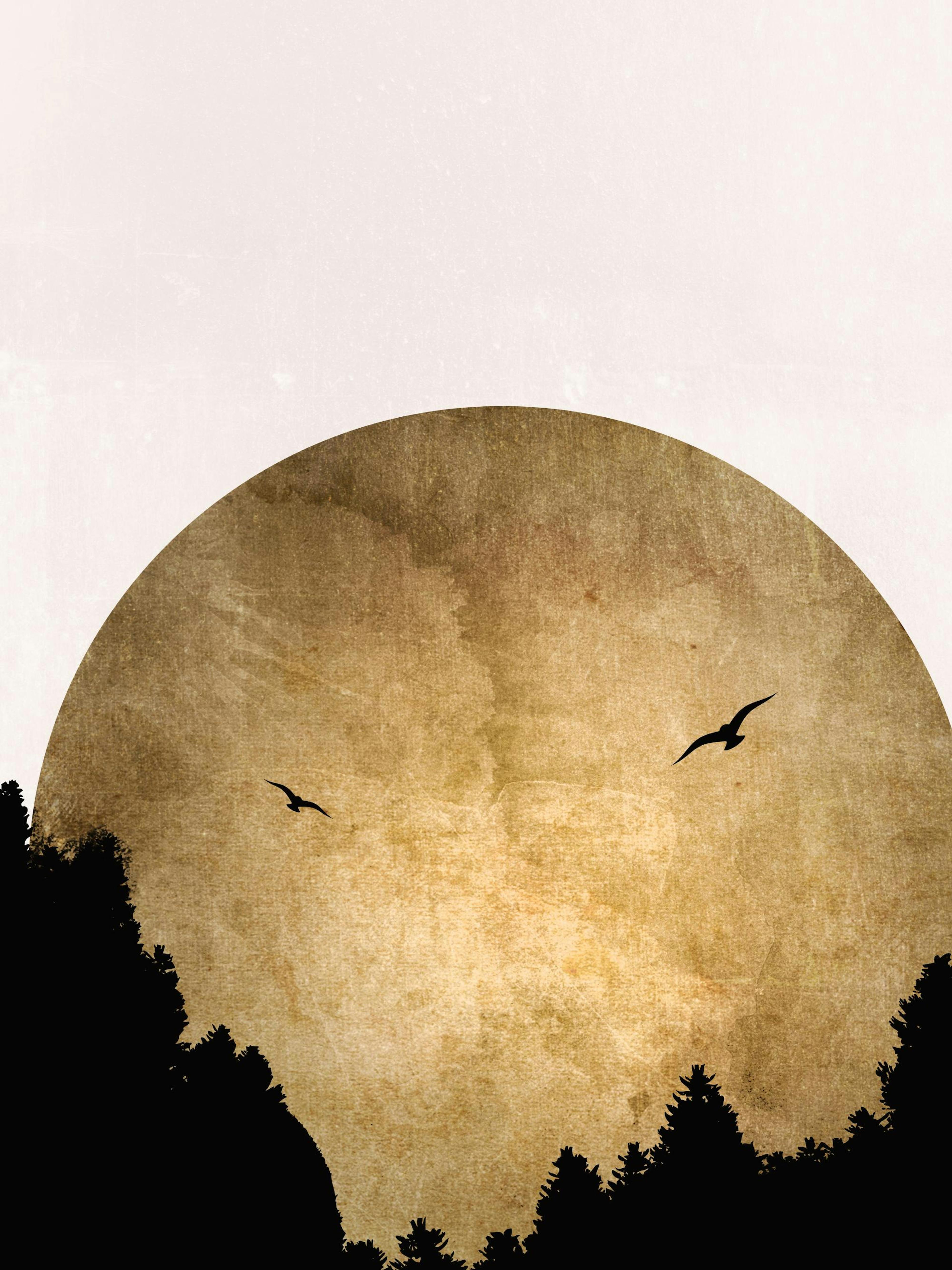Boris Draschoff / Kubistika - Two Birds Poster