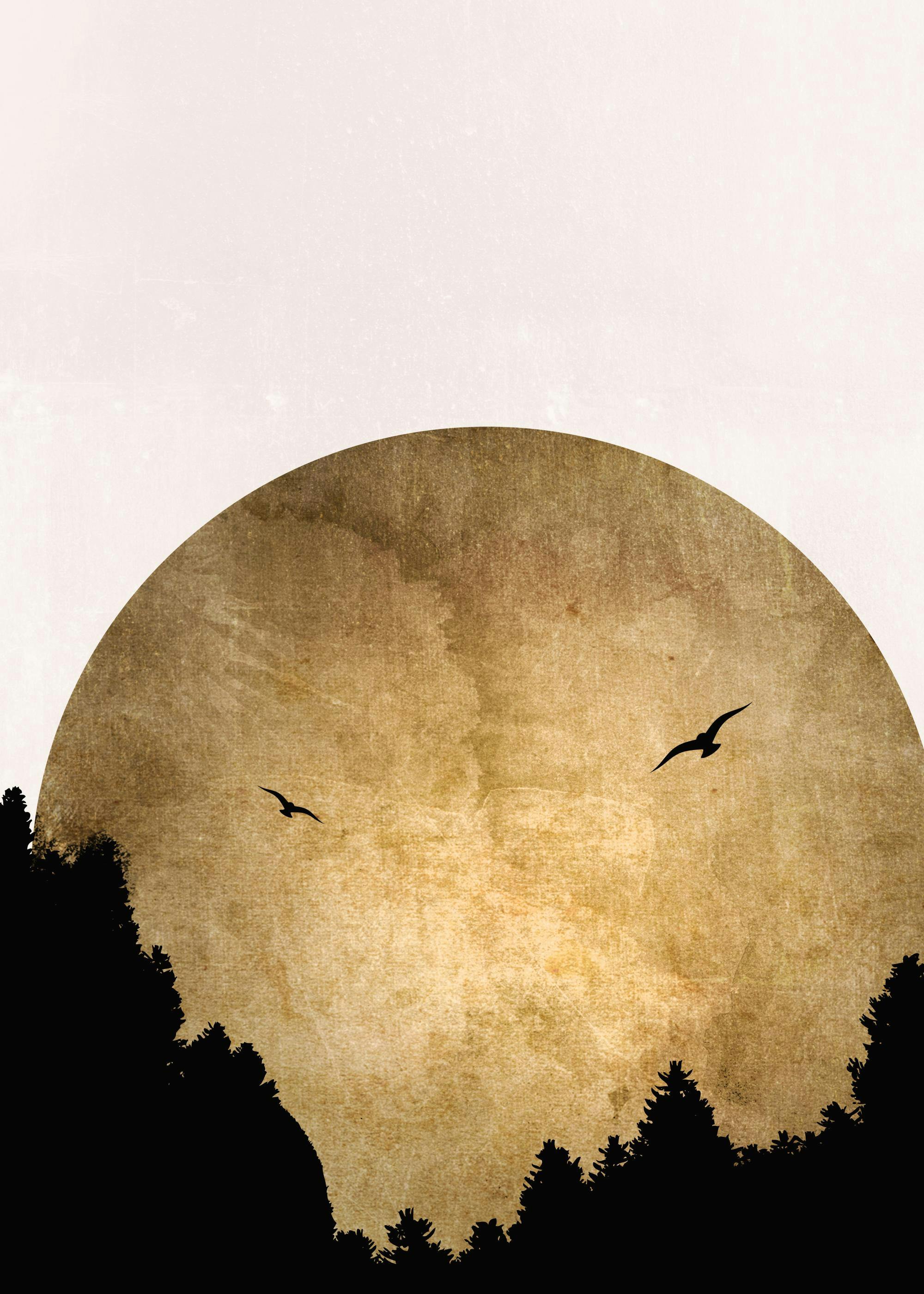 Boris Draschoff / Kubistika - Two Birds Poster 0