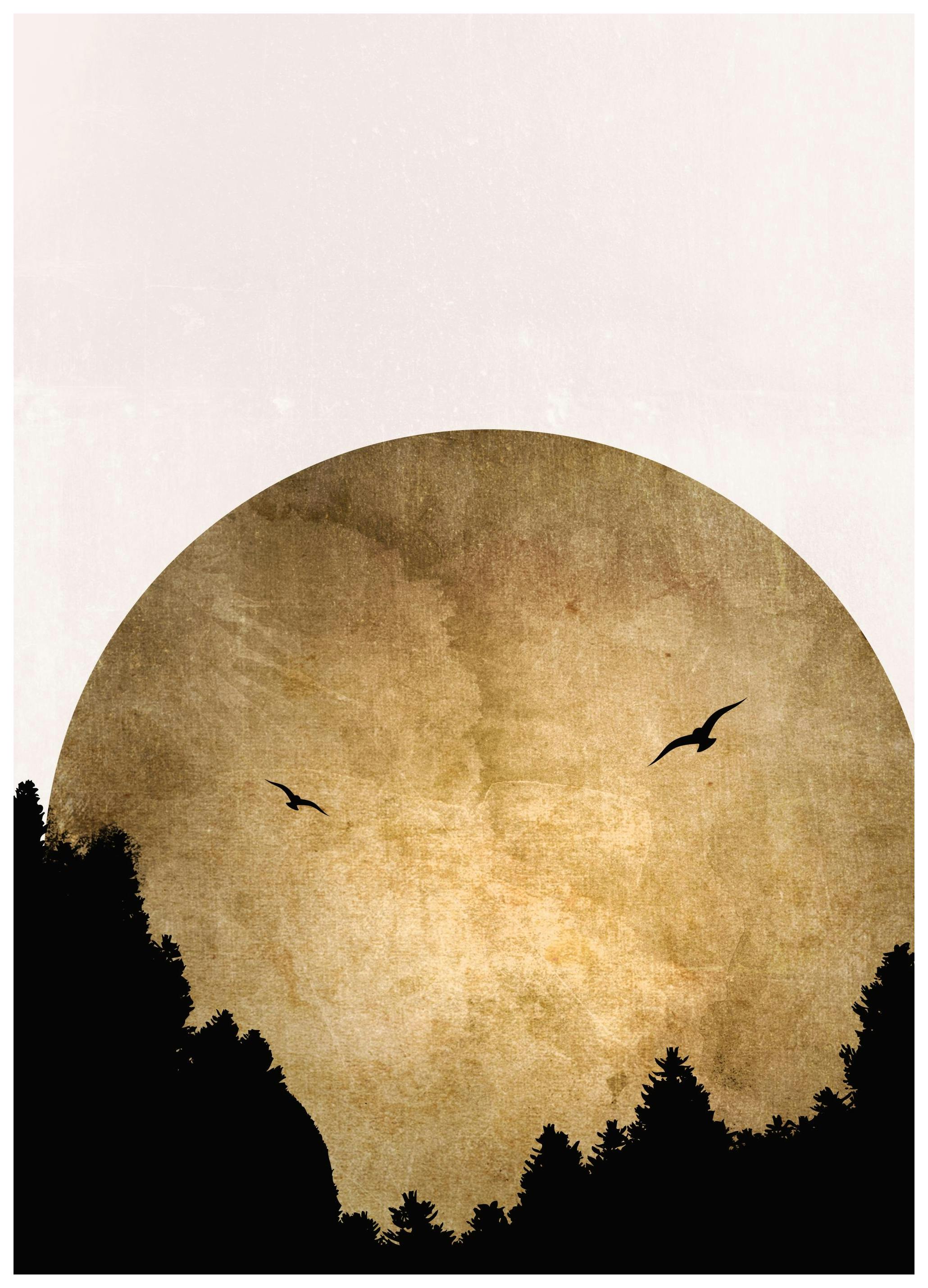 Boris Draschoff / Kubistika - Two Birds Poster (50x70 cm) - Grafische posters