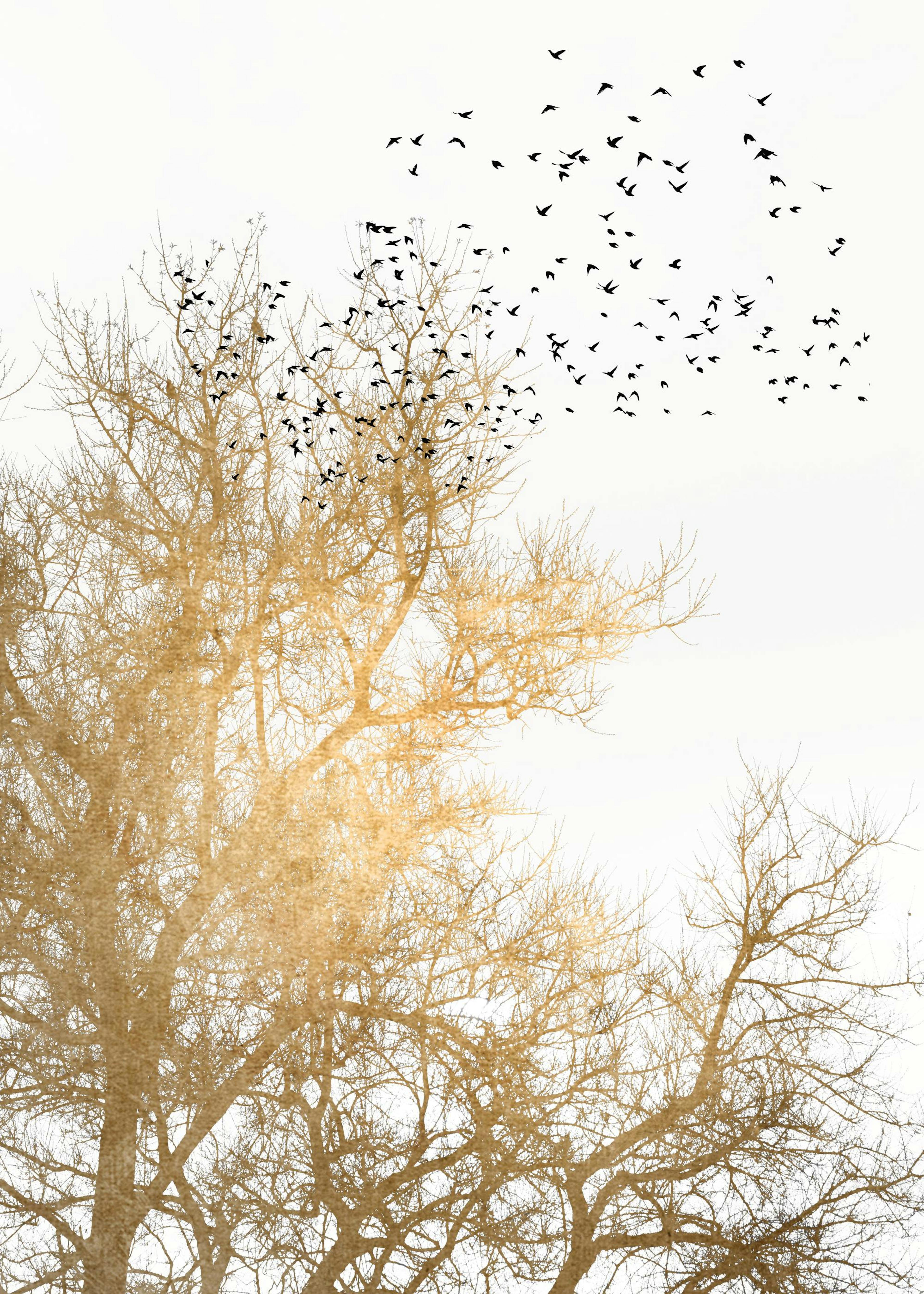 Boris Draschoff / Kubistika - Golden Skies Print 0