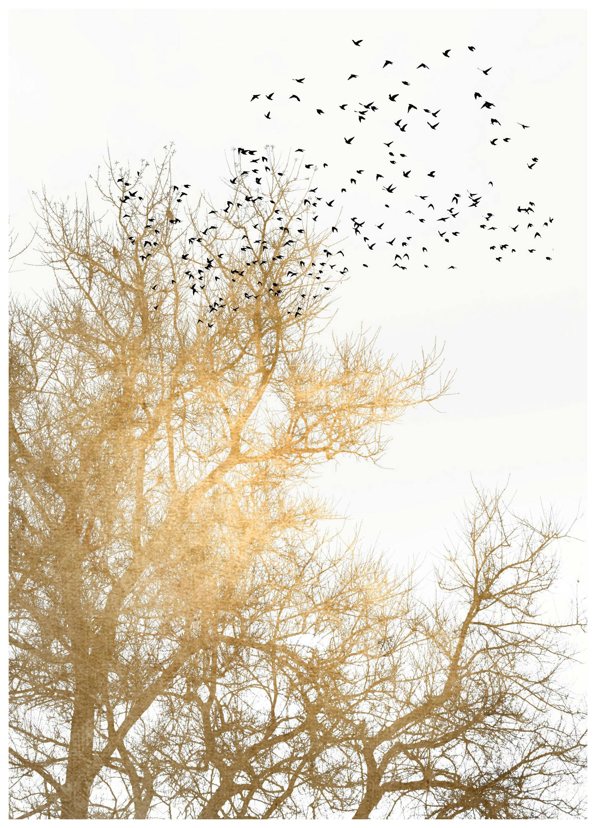 Boris Draschoff / Kubistika - Golden Skies Poster (30x40 cm)- Arte grafica e poster