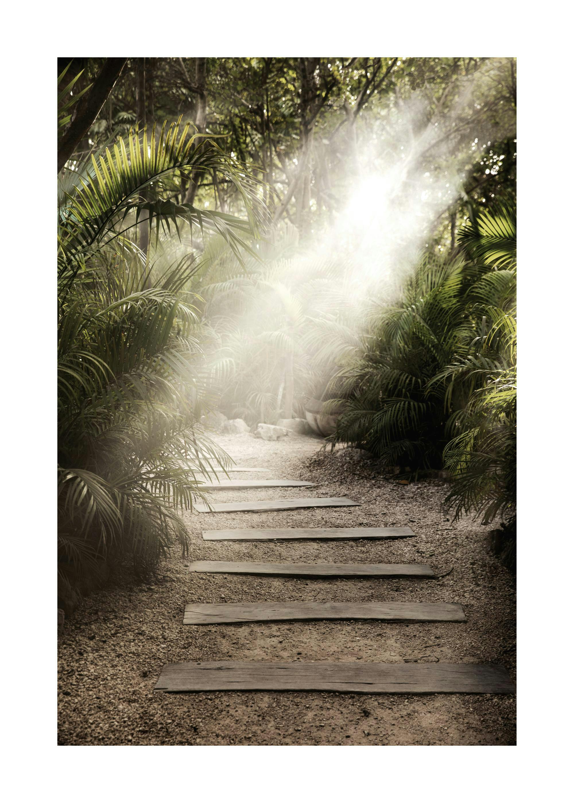 Secret Path Plakat 0