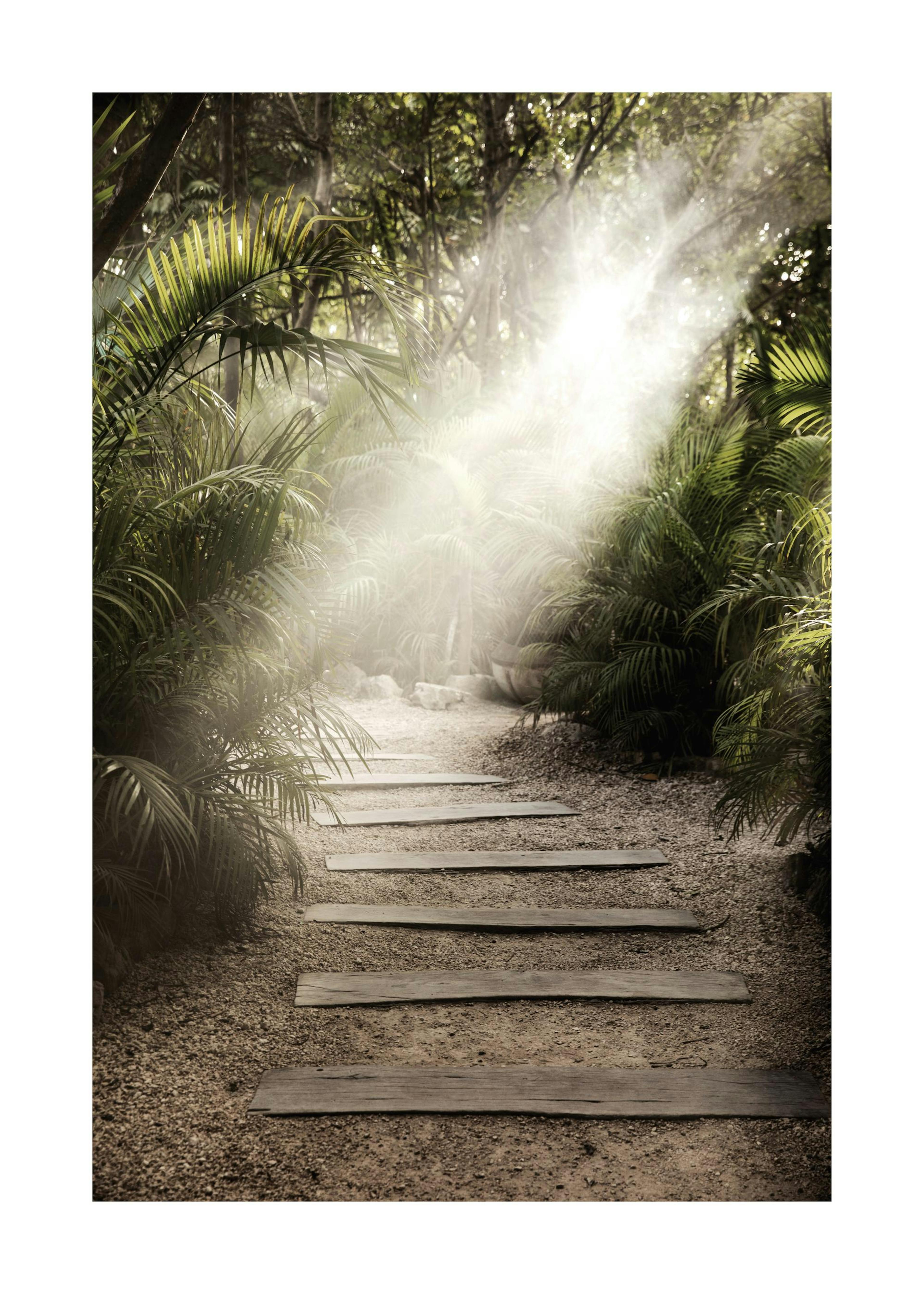 Secret Path 포스터 0