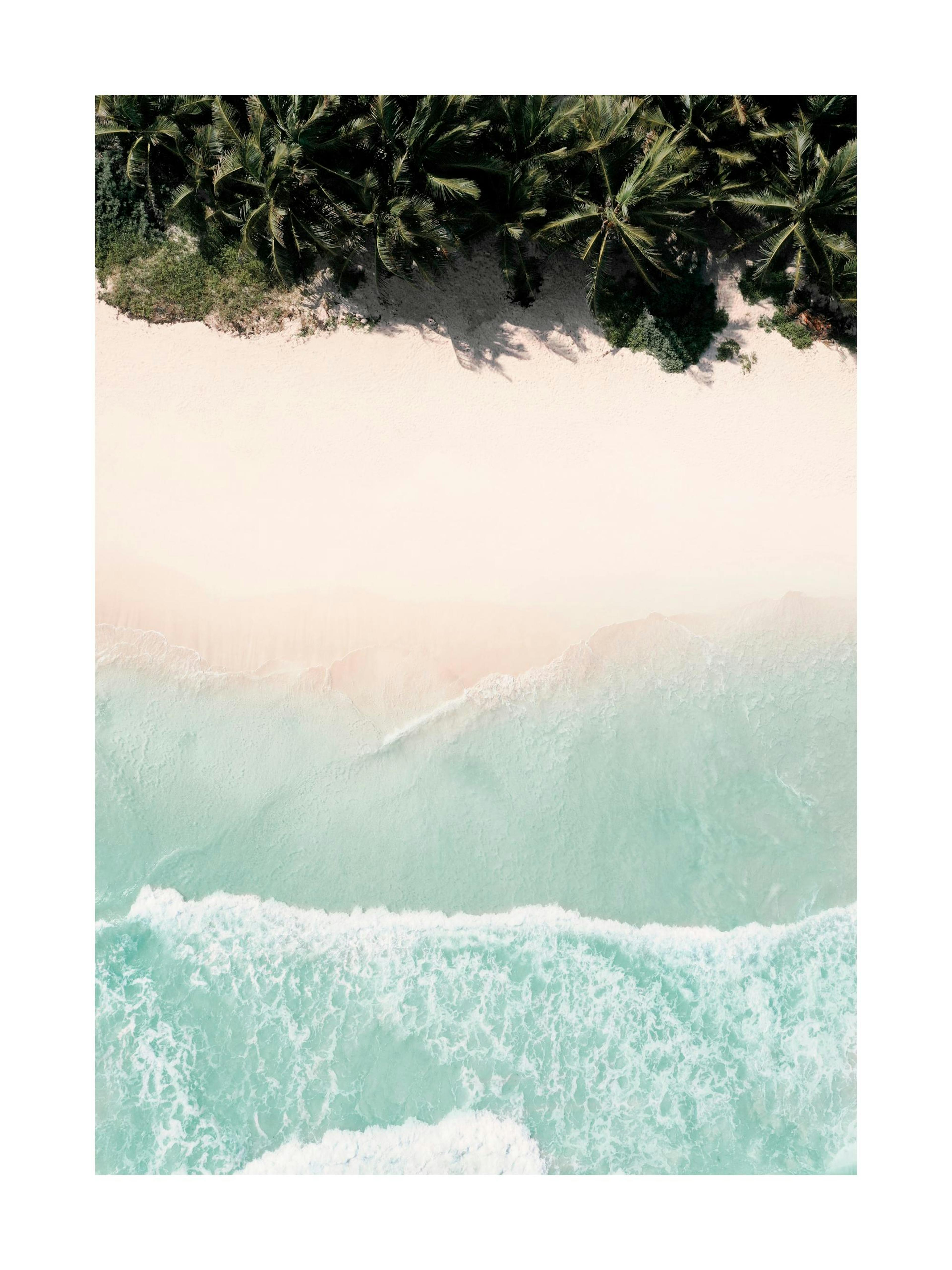 Caribbean Dream Plakat