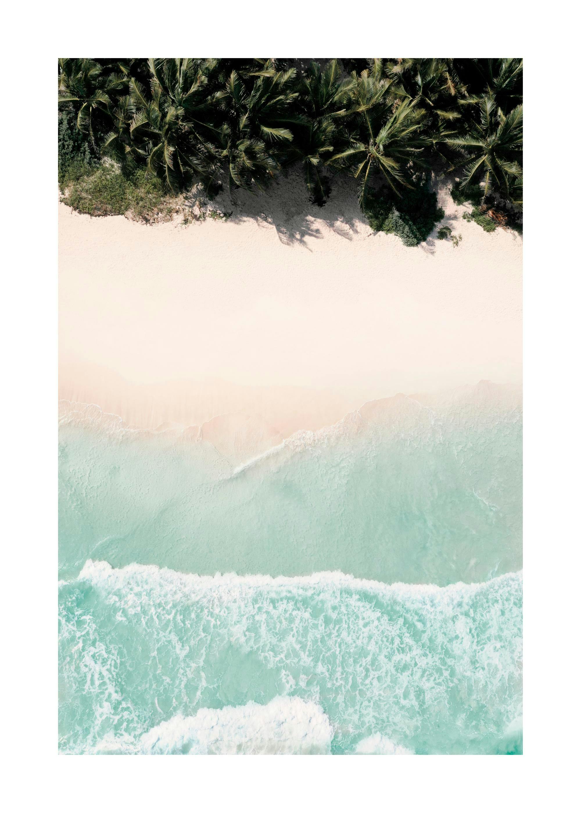 Caribbean Dream Plakat 0
