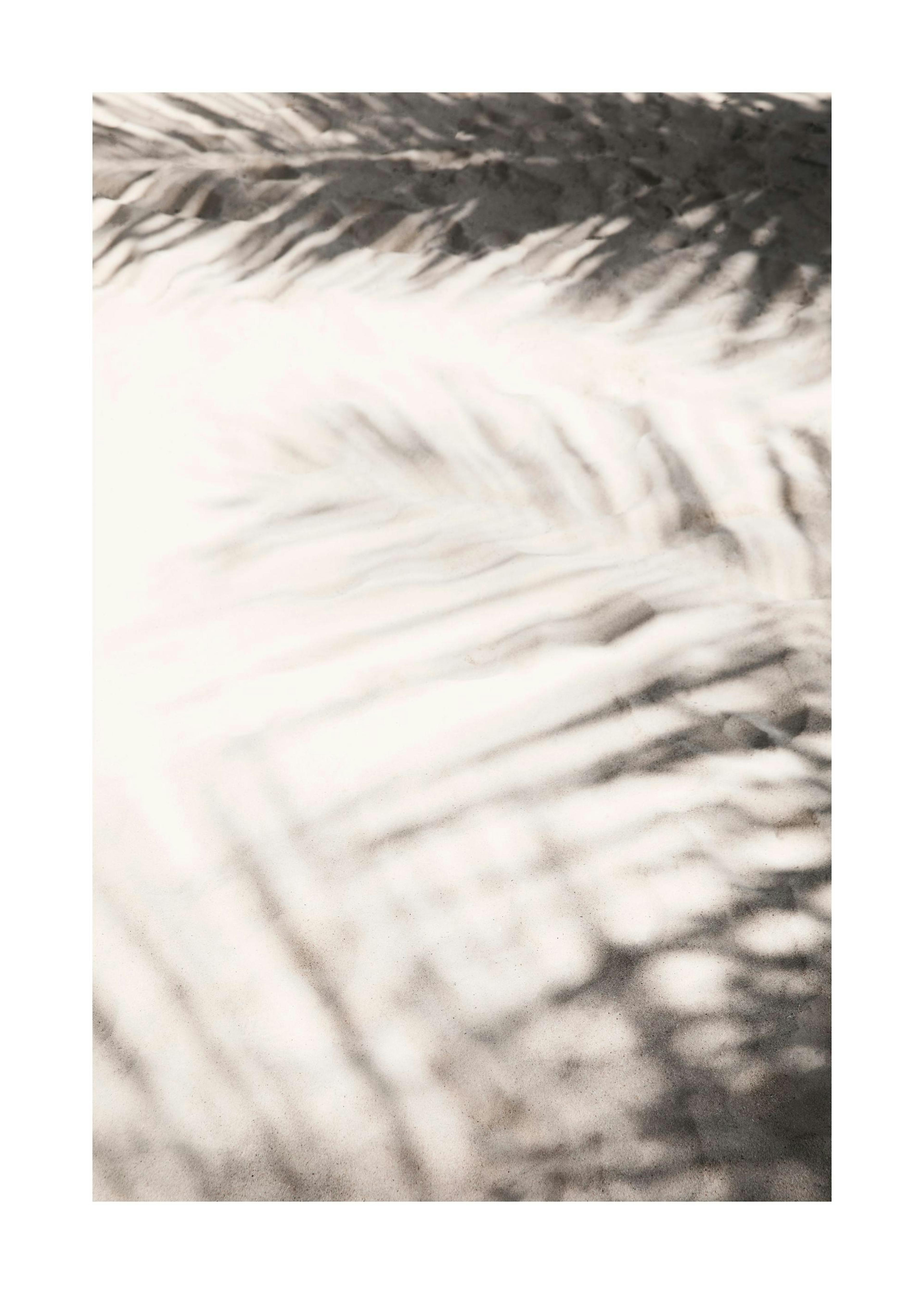 Escaping the Sun Plakat 0