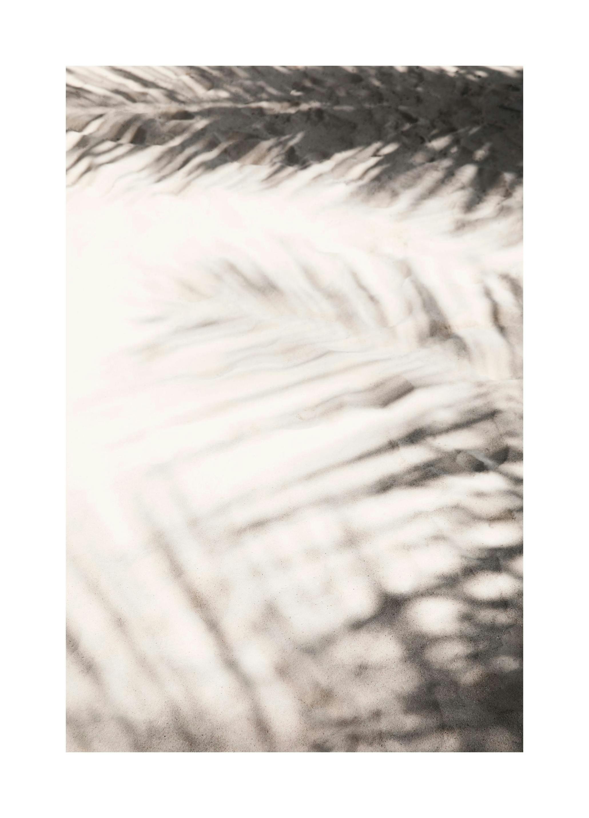 Prints - Escaping the Sun Print (50x70 cm) - Photography prints