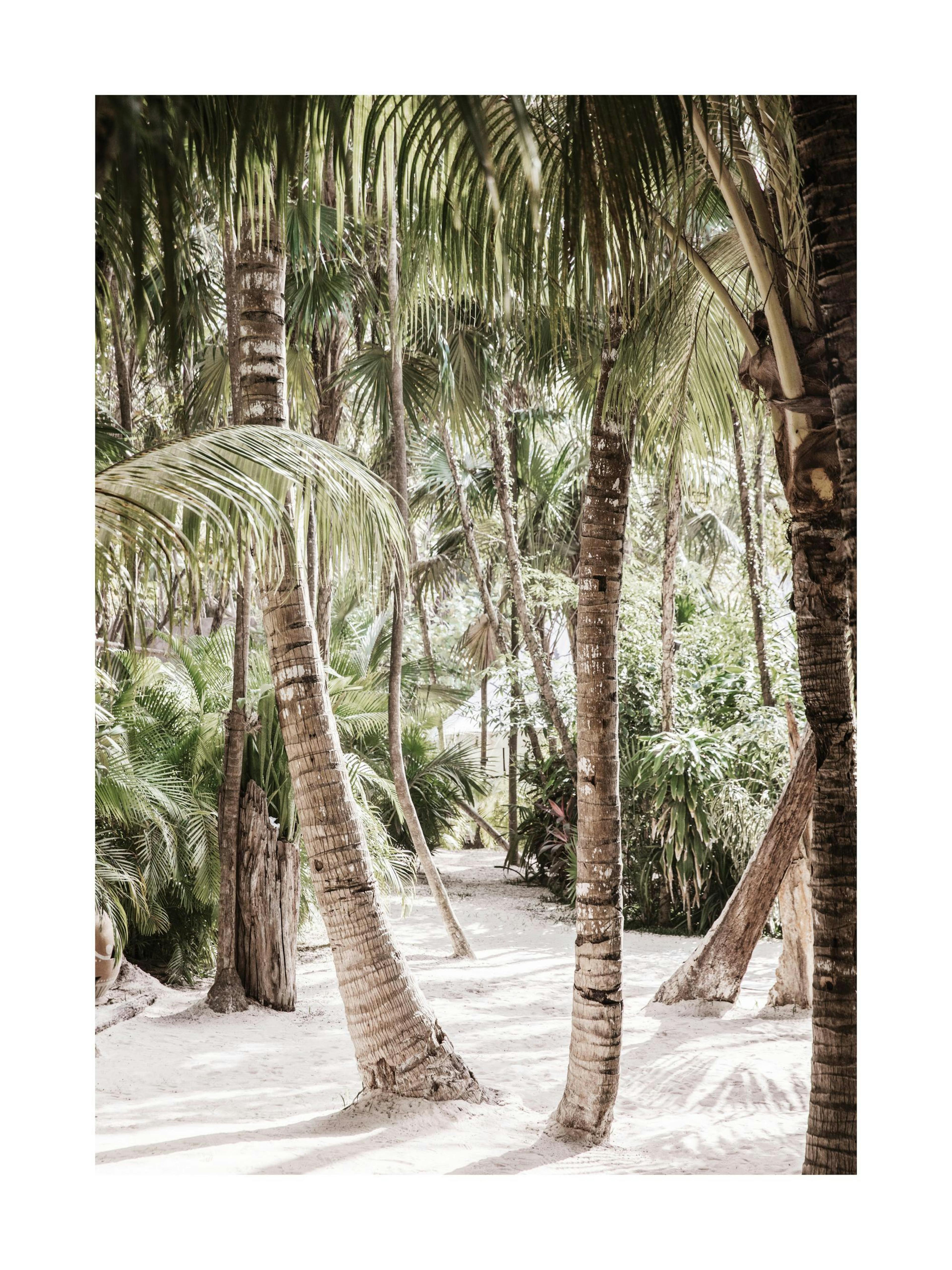 Between the Palms Poster