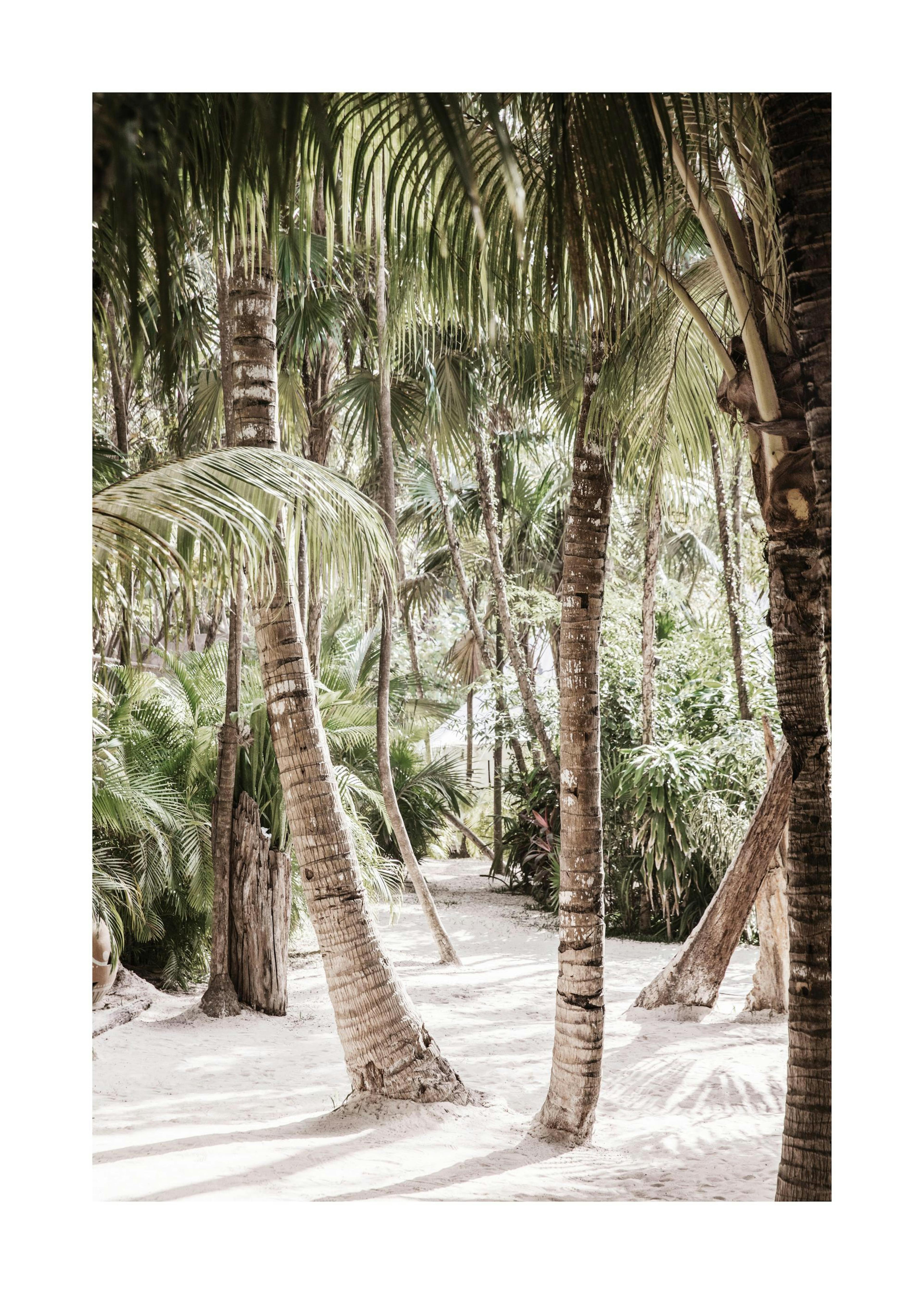 Between the Palms Poster 0