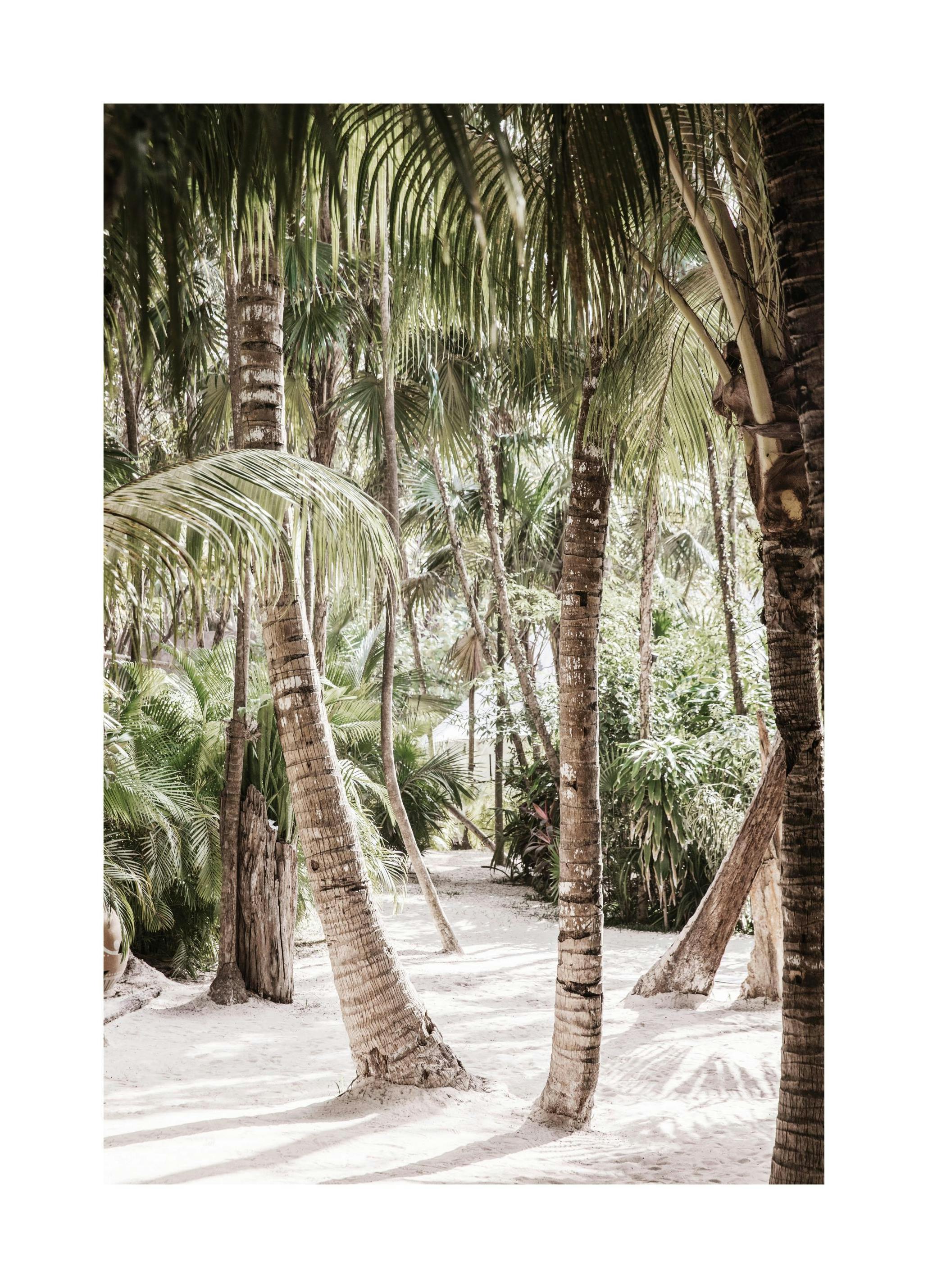 Between the Palms Print (30x40 cm)