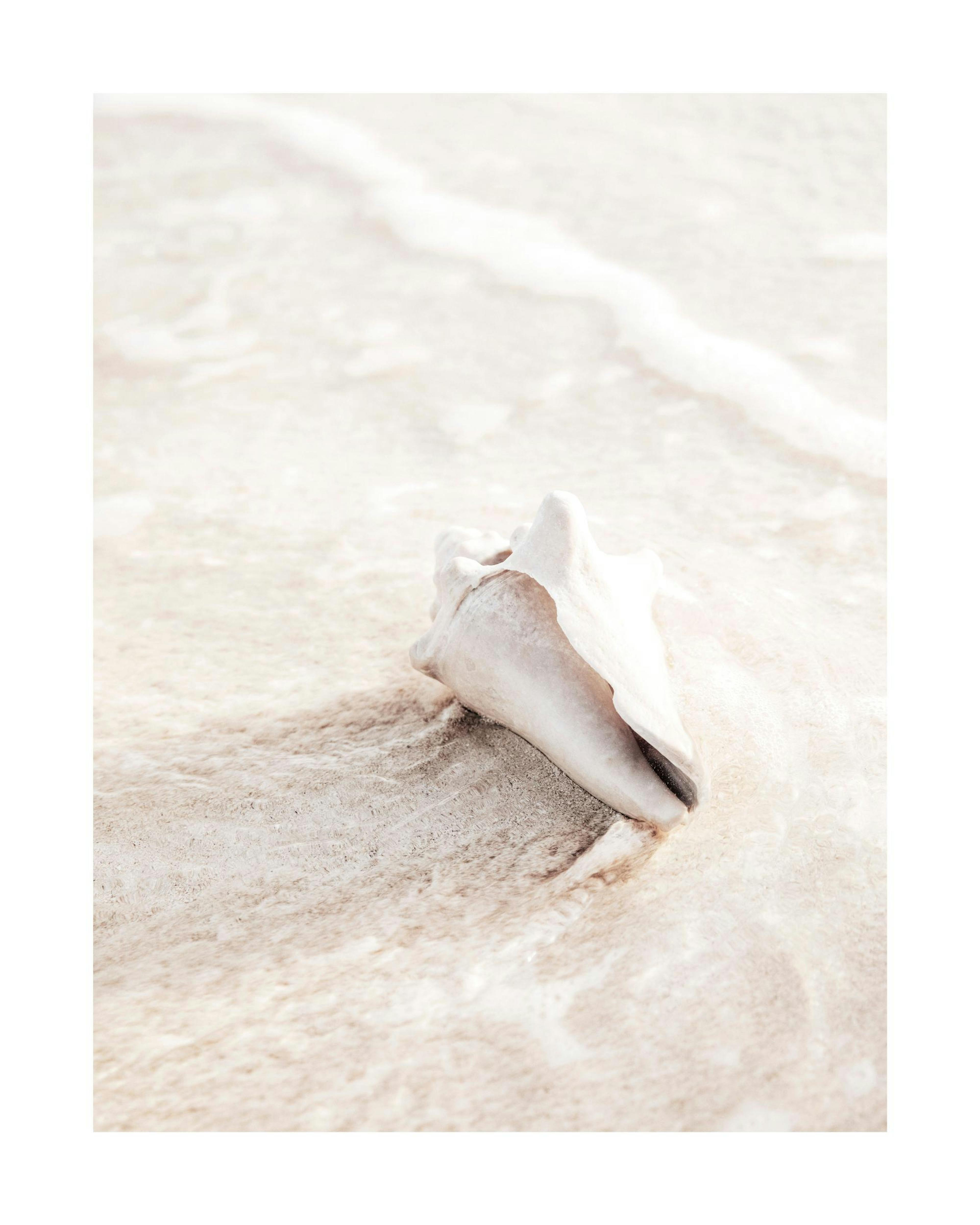 Nature Creation Print 0