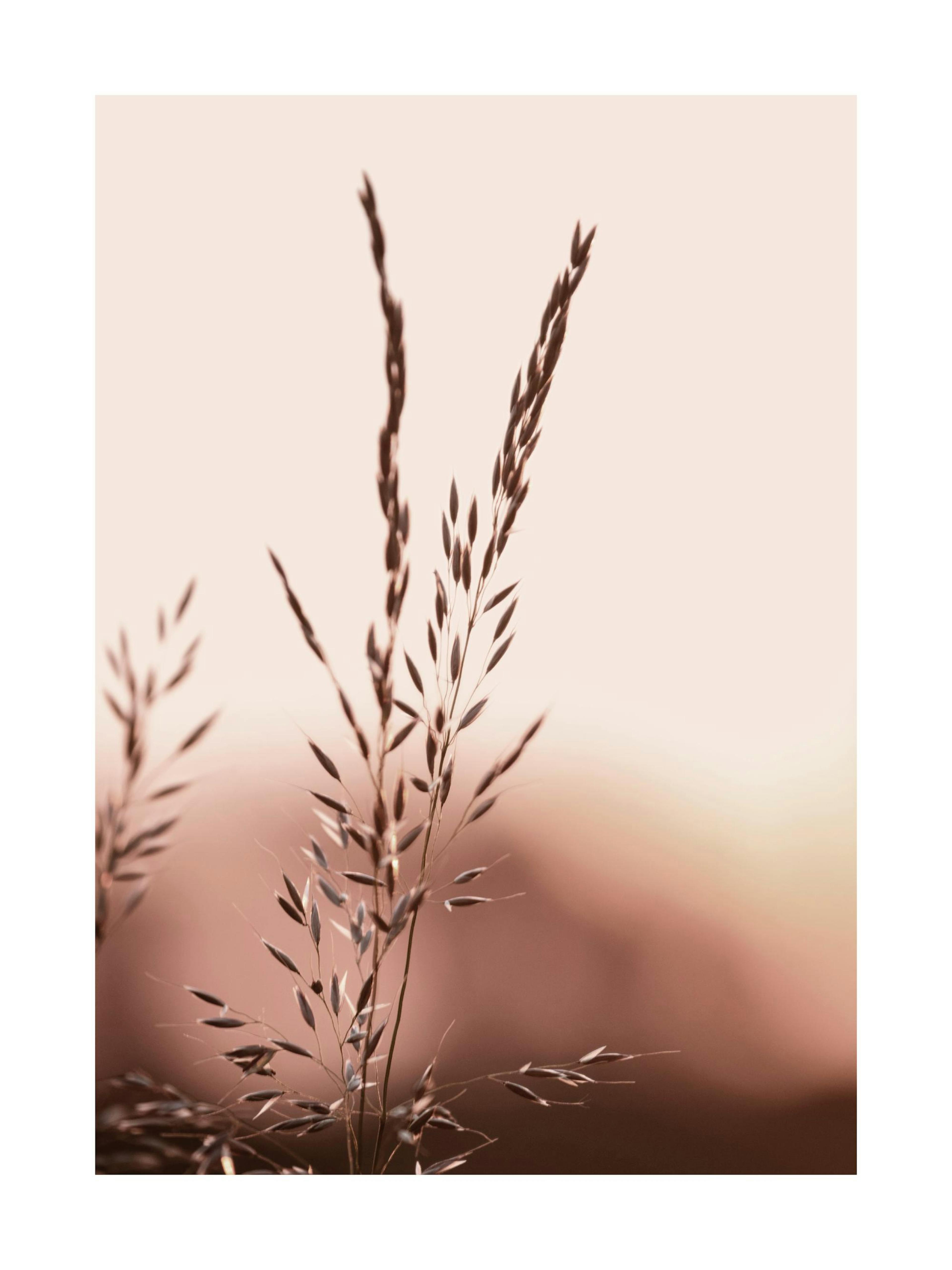 Product image: 1