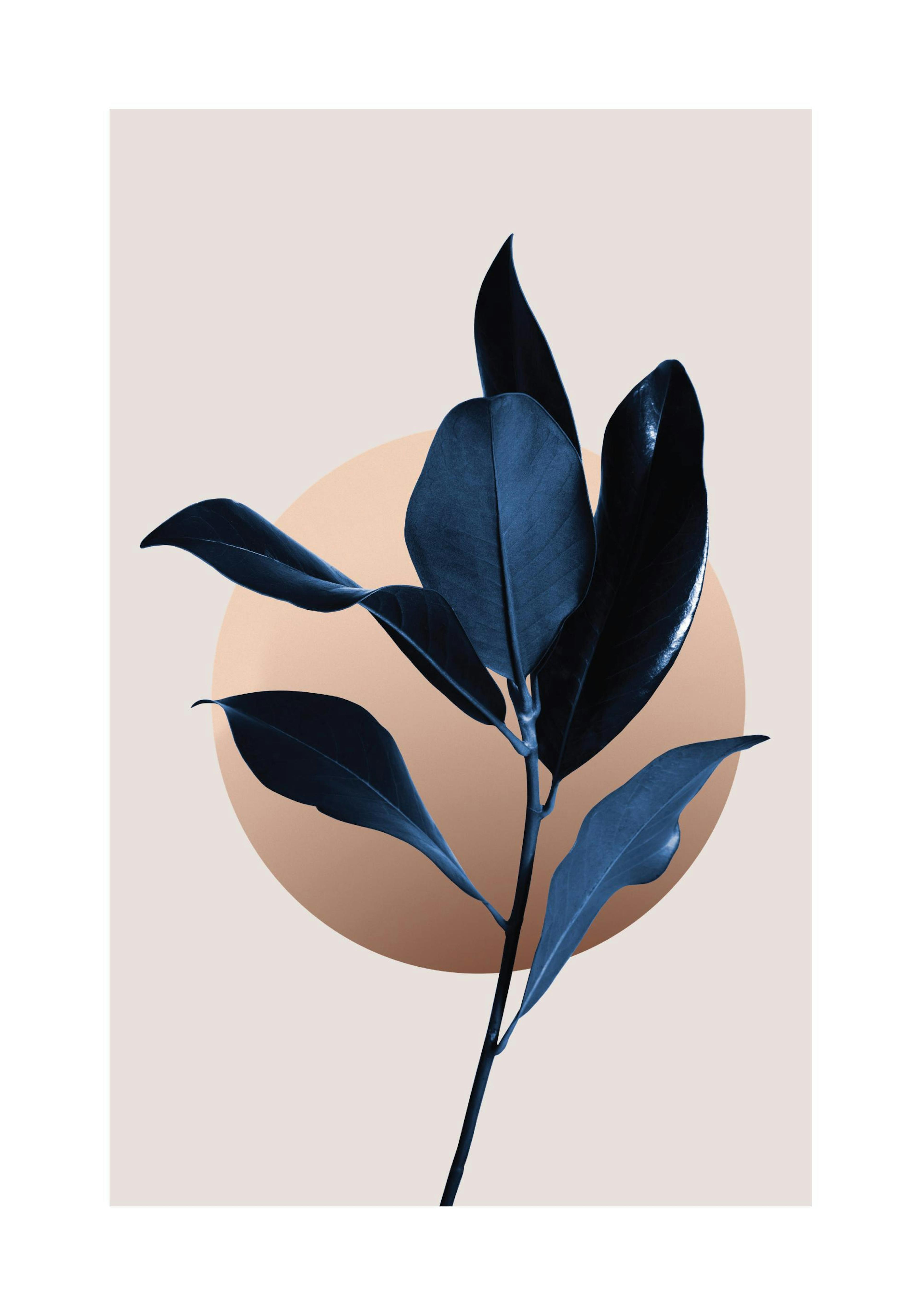Product image: 1