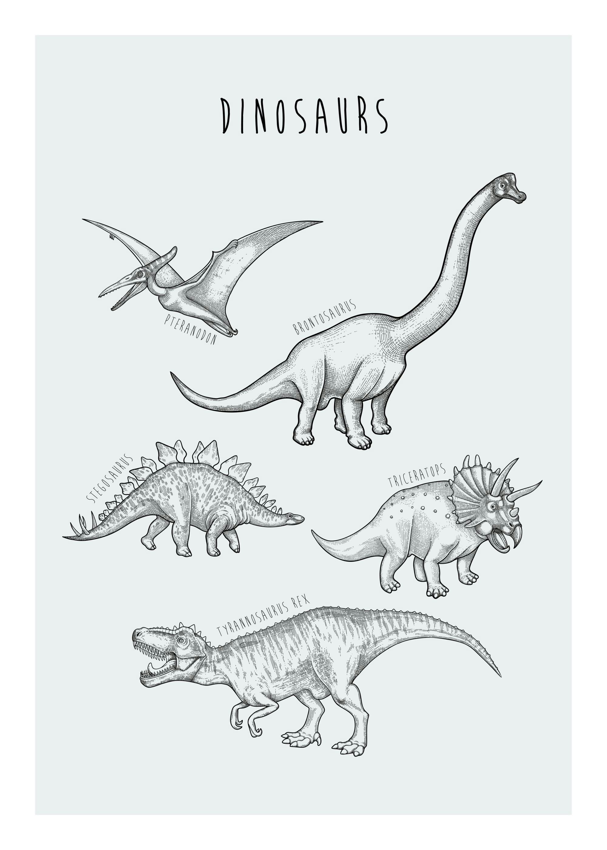 Dinos Print 0