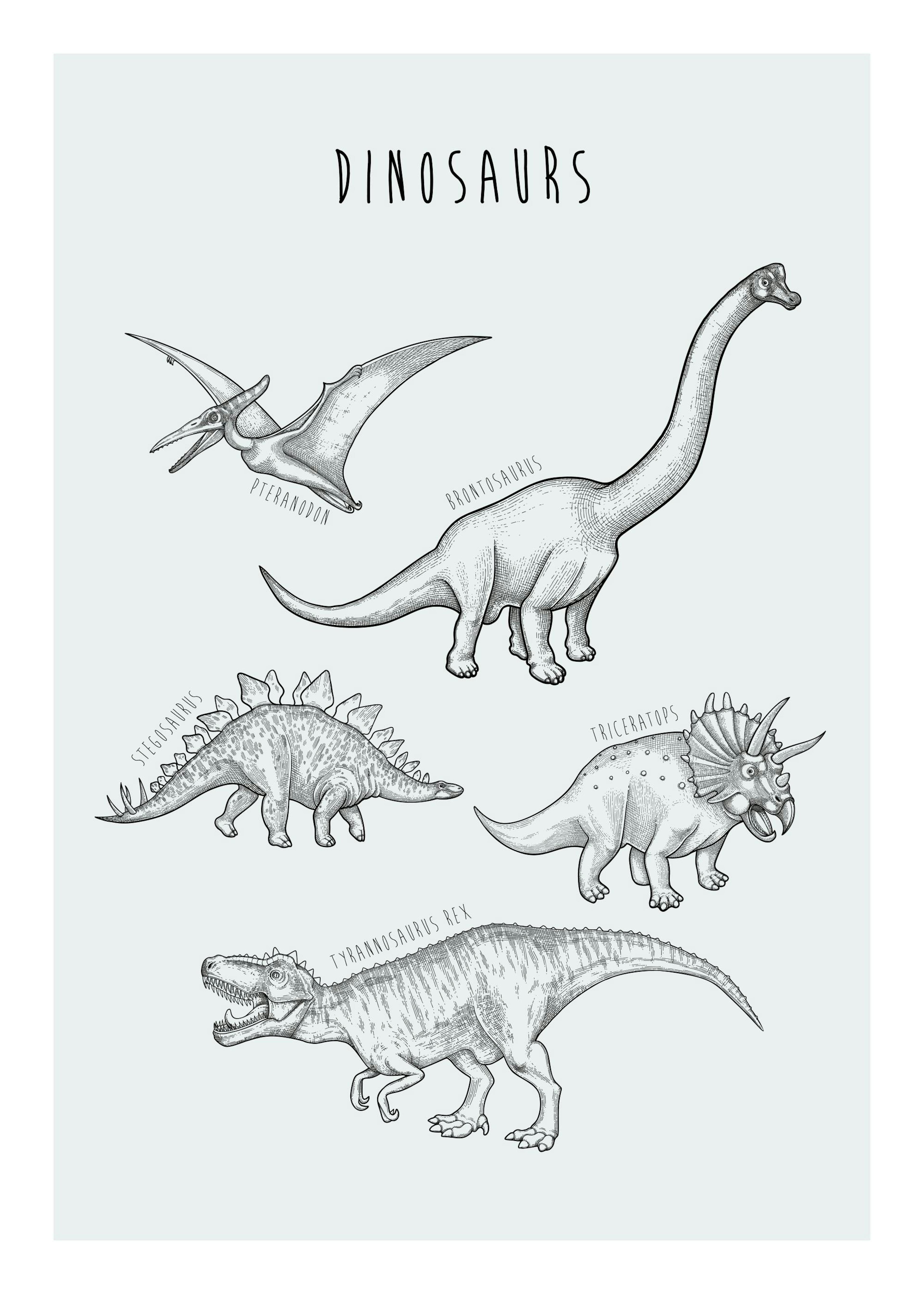 Dinos Print 0