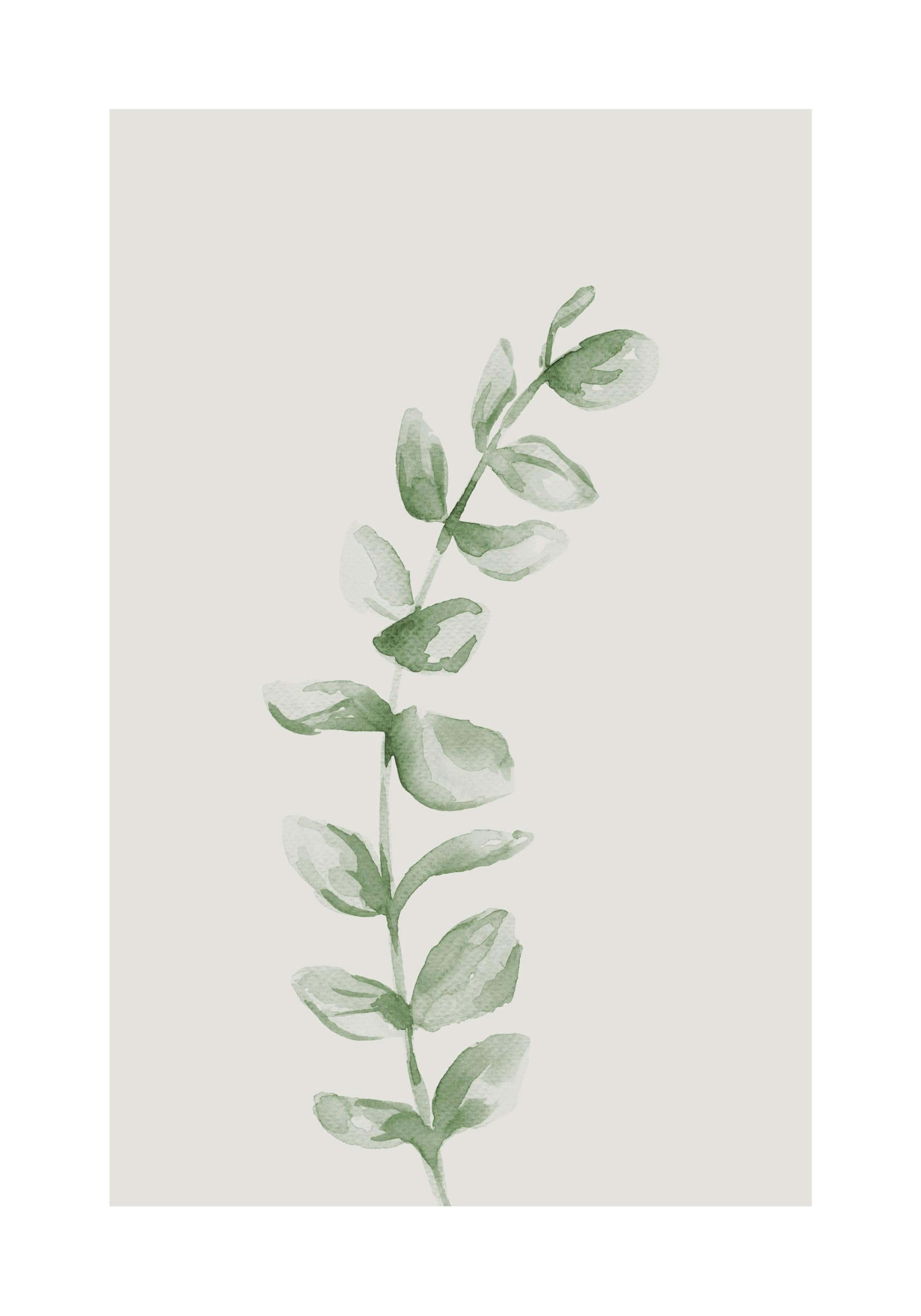 Painted Leaf No1 Affiche