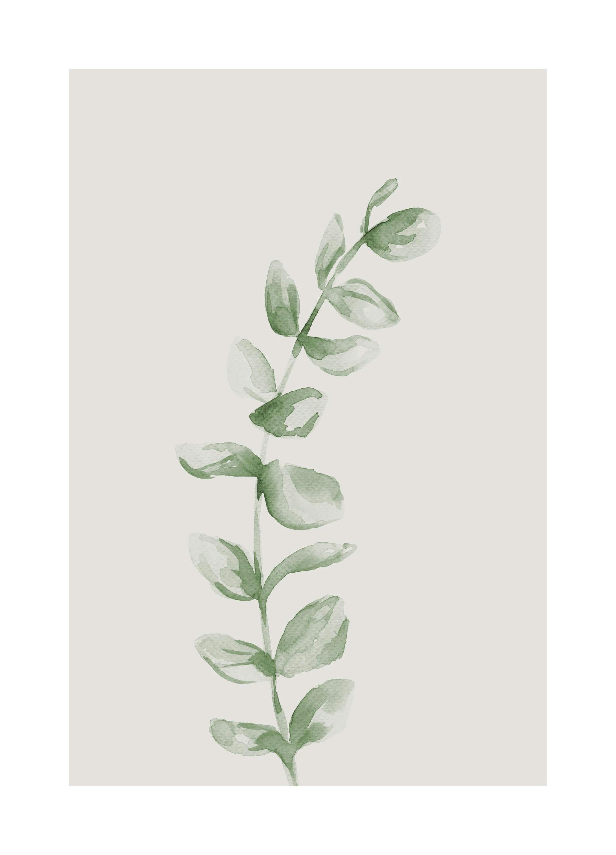Painted Leaf No1 Poster (30x40 cm) - Aquarellen