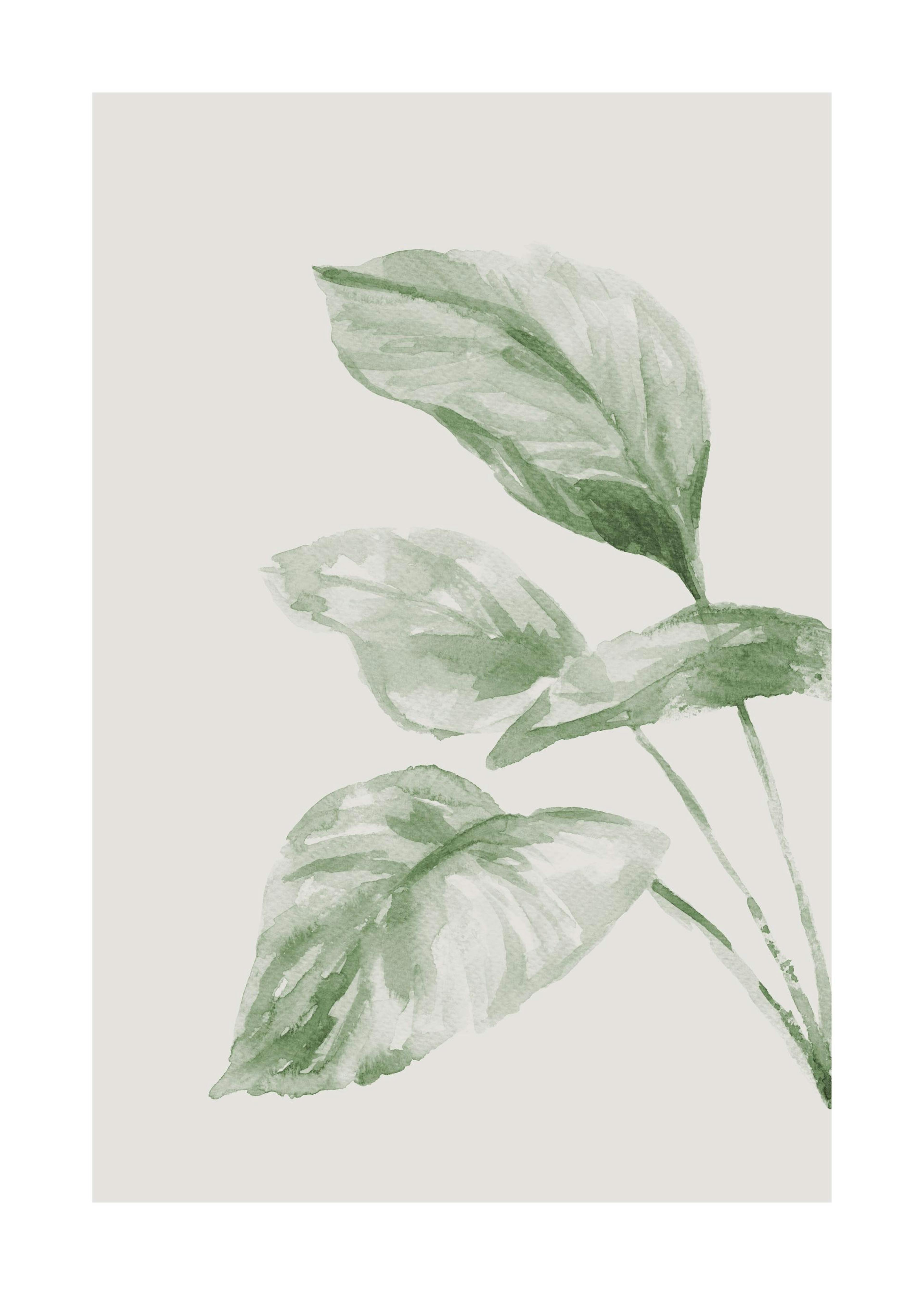 Painted Leaf No2 Print 0