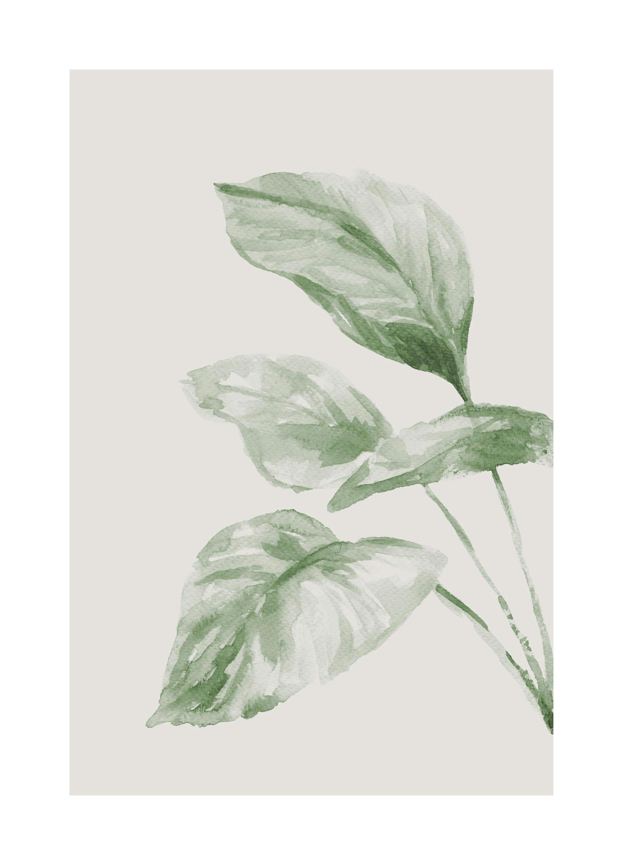 Painted Leaf No2 Plakat (21x30 cm)- Obrazy akwarelowe