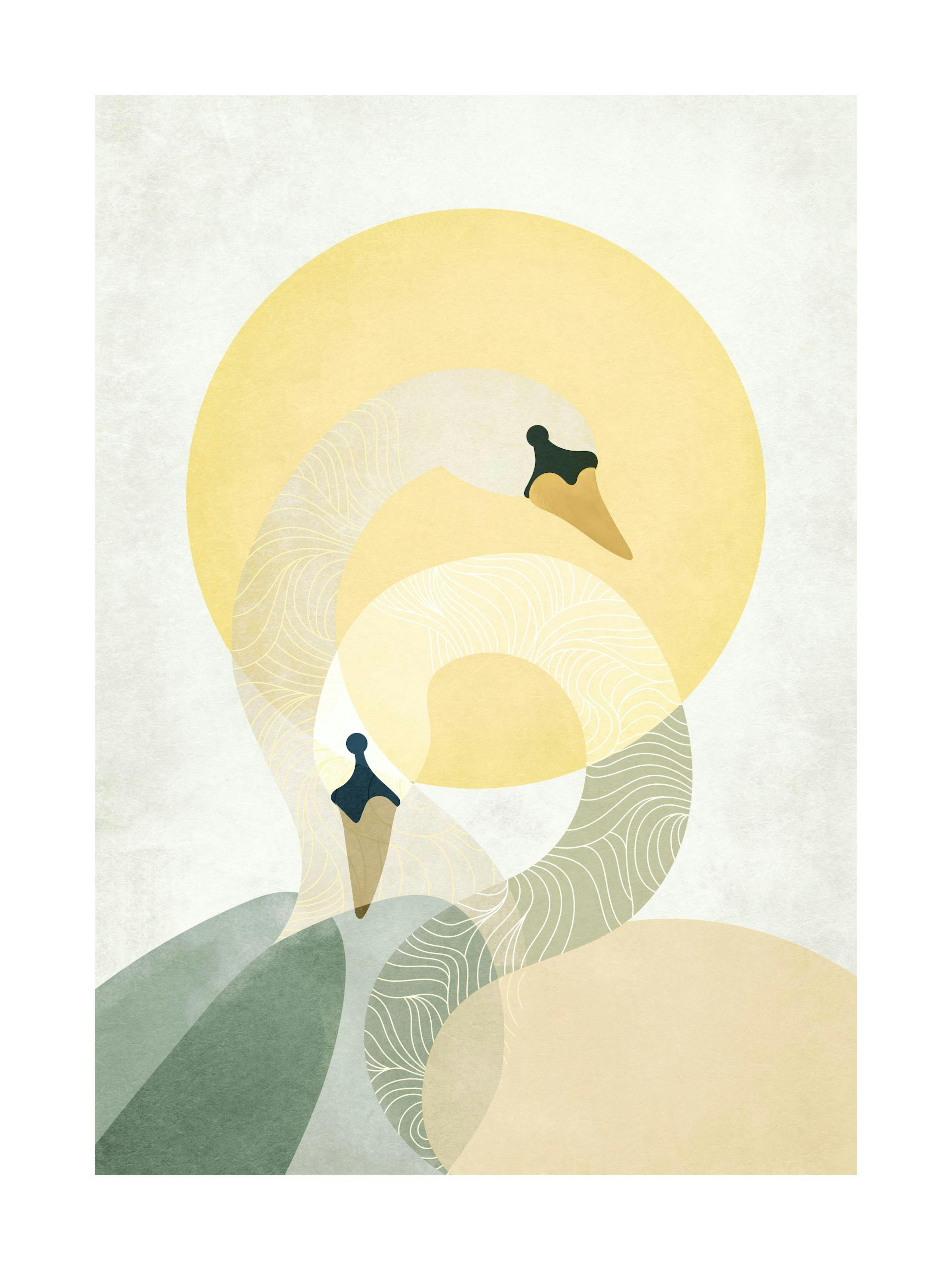 Sunrise Swans Poster