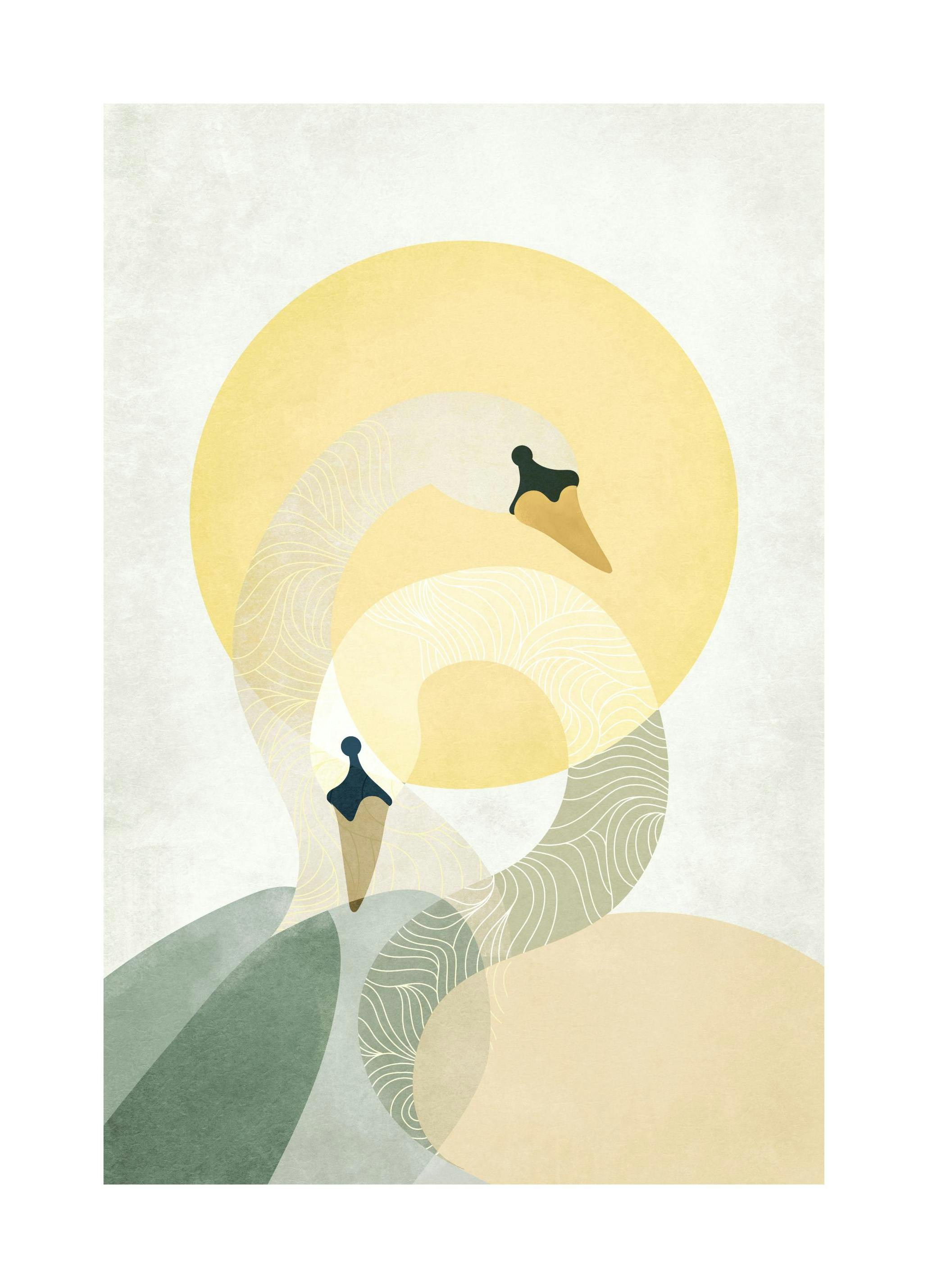 Sunrise Swans Poster (30x40 cm)- Arte moderna