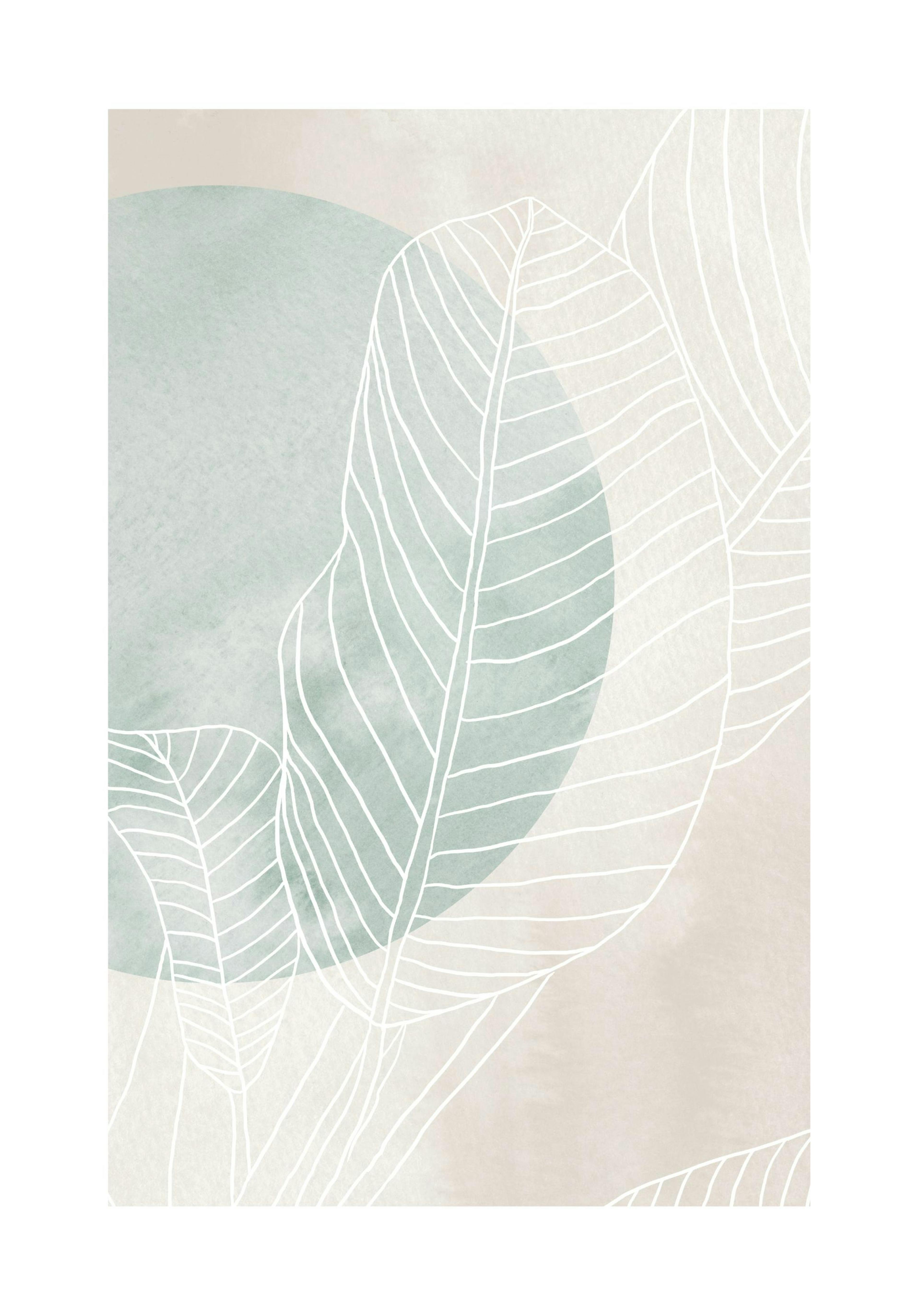 Ficus Line Drawing Print