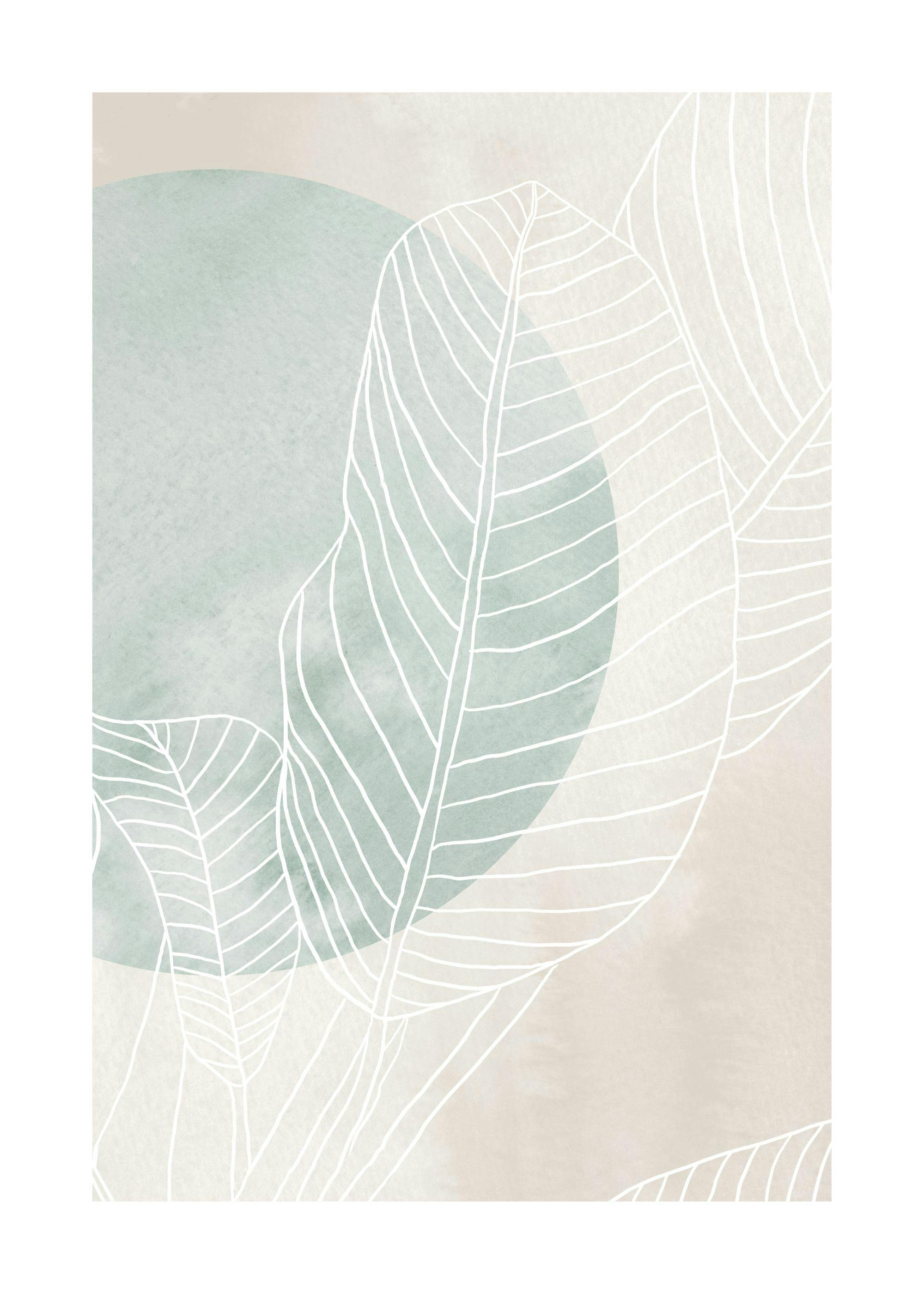 Ficus Line Drawing Print 0
