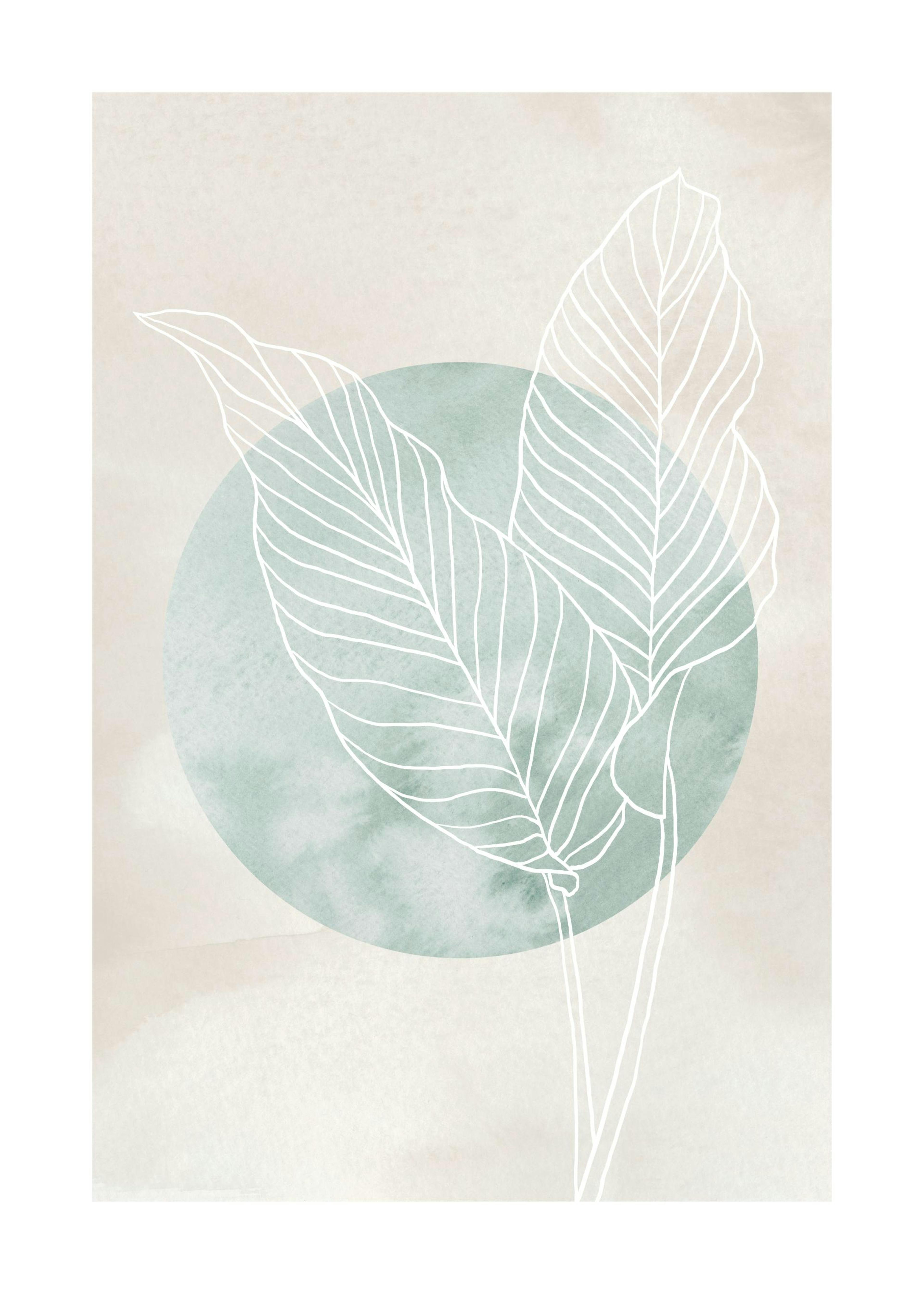 Calathea Line Drawing Print 0