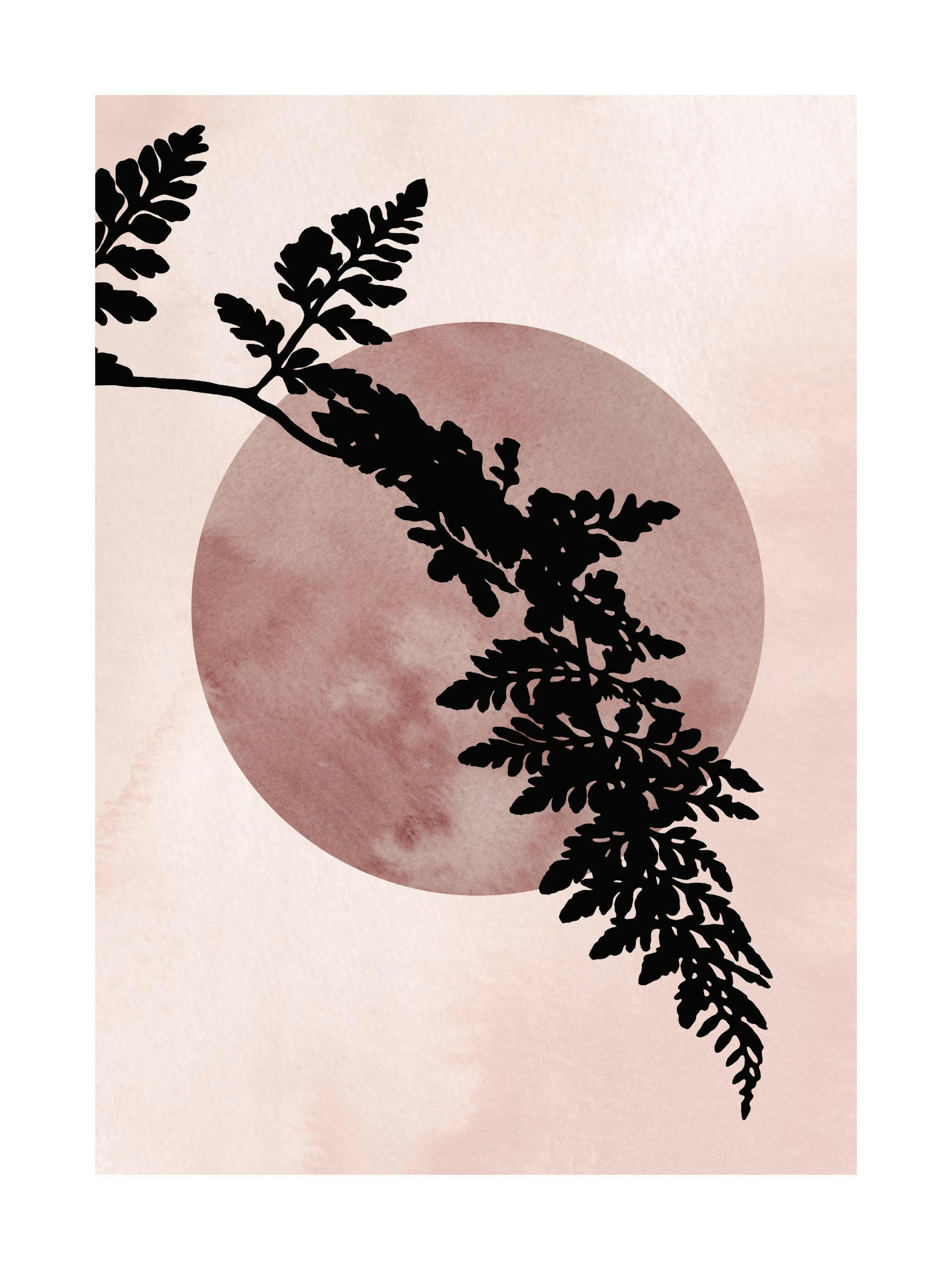 Fern Silhousette Affiche