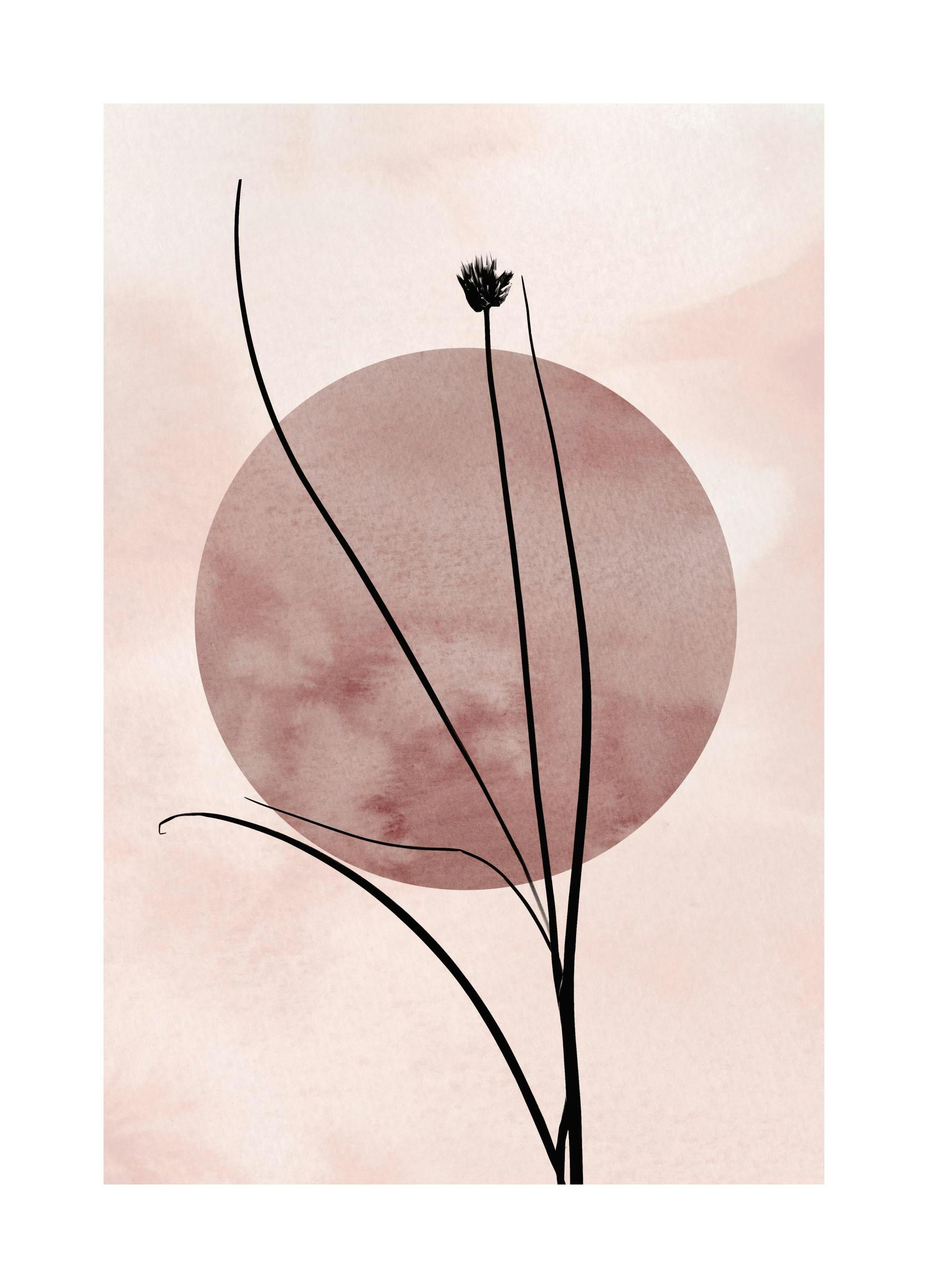 Straw Silhouette Affiche (50x70 cm) - Affiches d'art