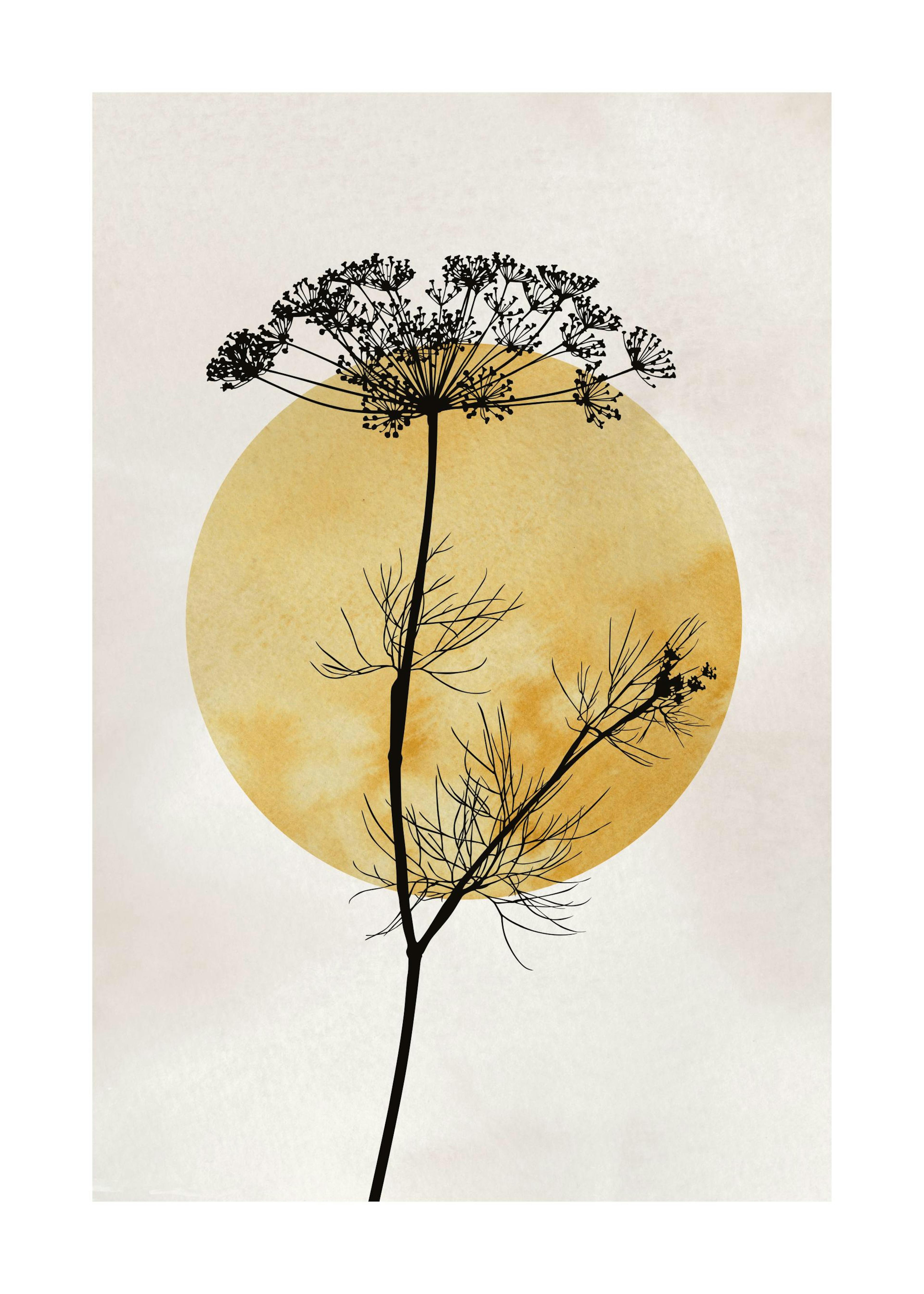 Anthriscus Silhouette Poster 0