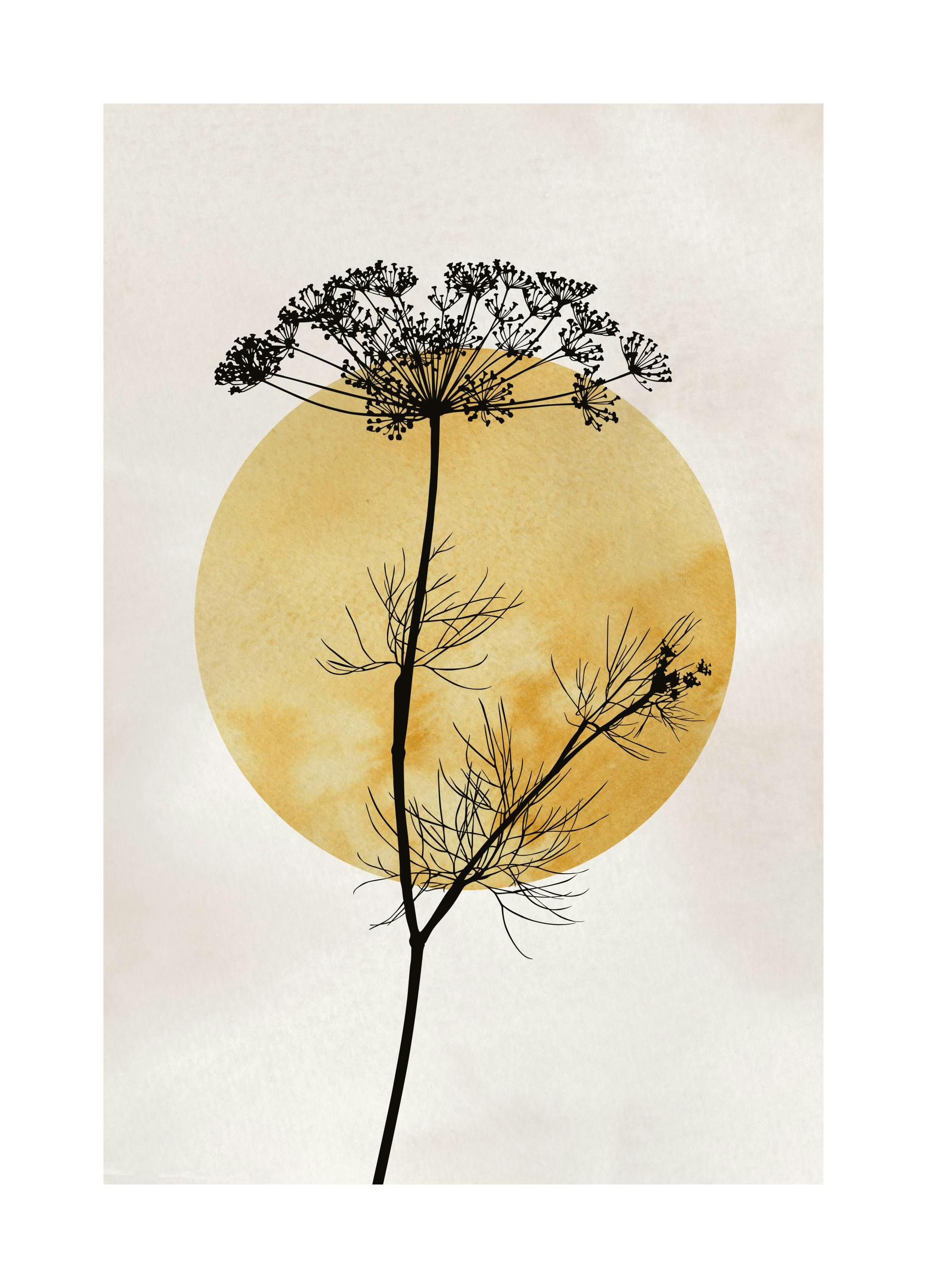 Anthriscus Silhouette Poster (21x30 cm)- Arte moderna