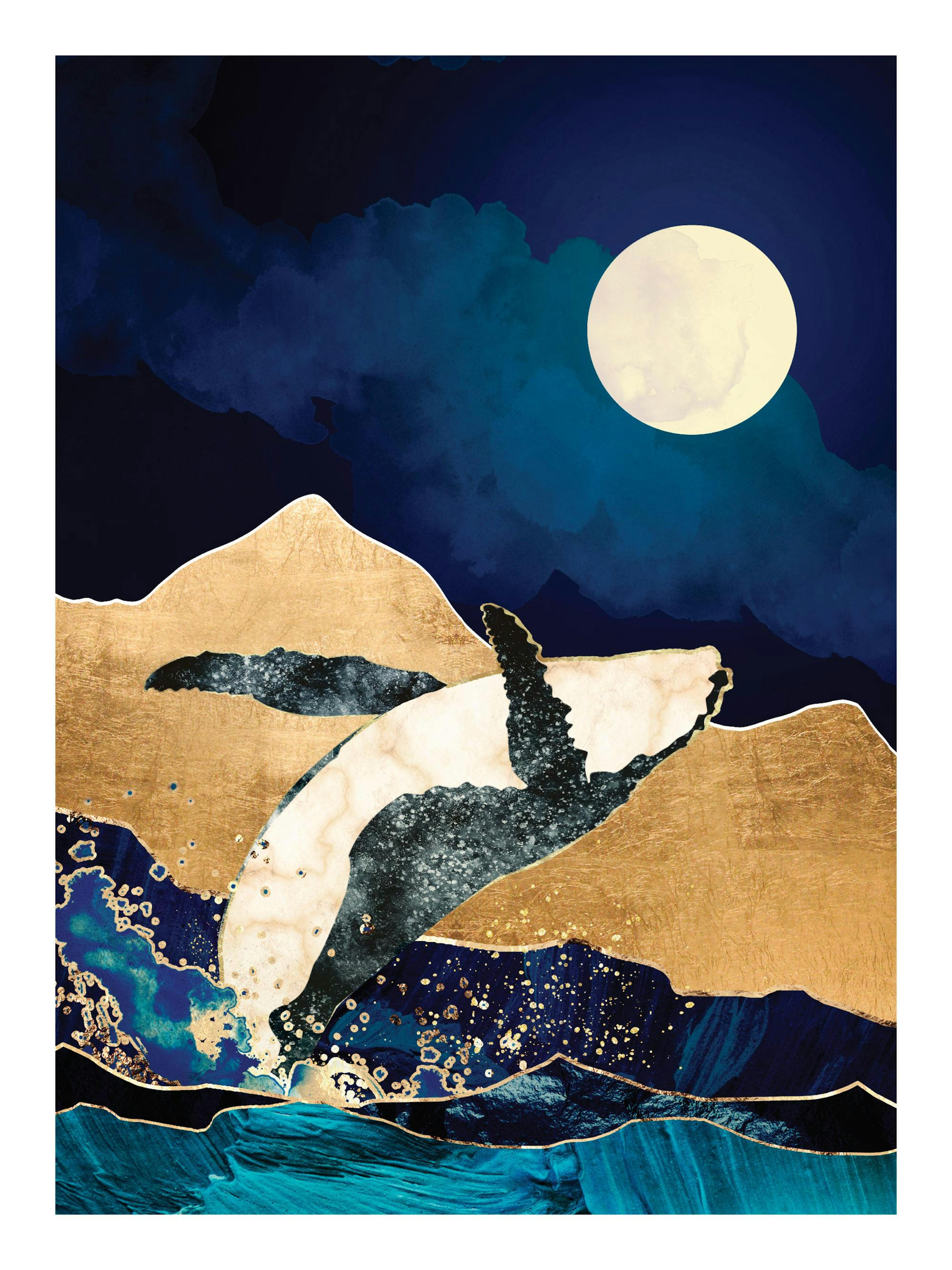 SpaceFrog Designs - Live Free Affiche