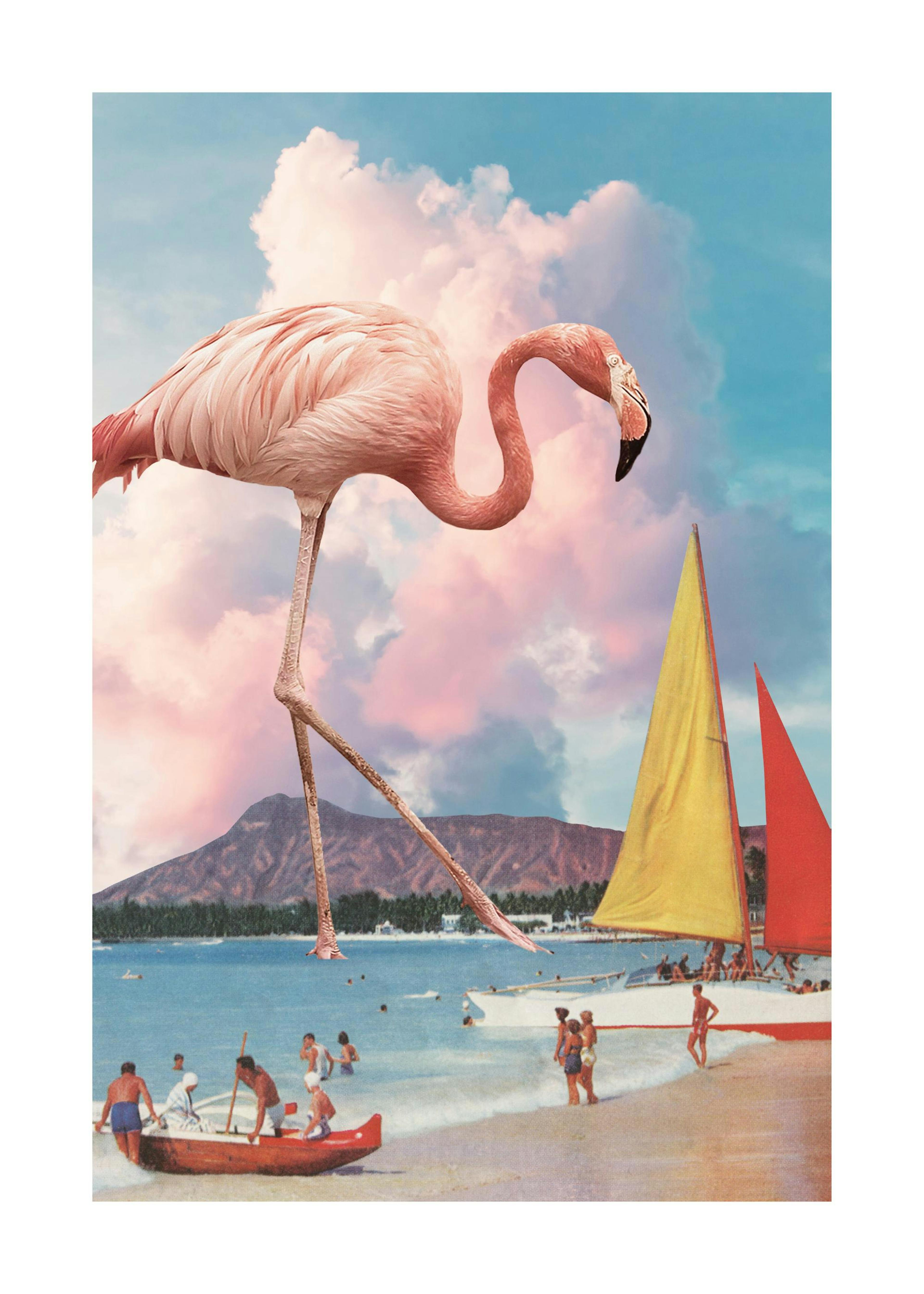 Flamingo Playground Plakát 0