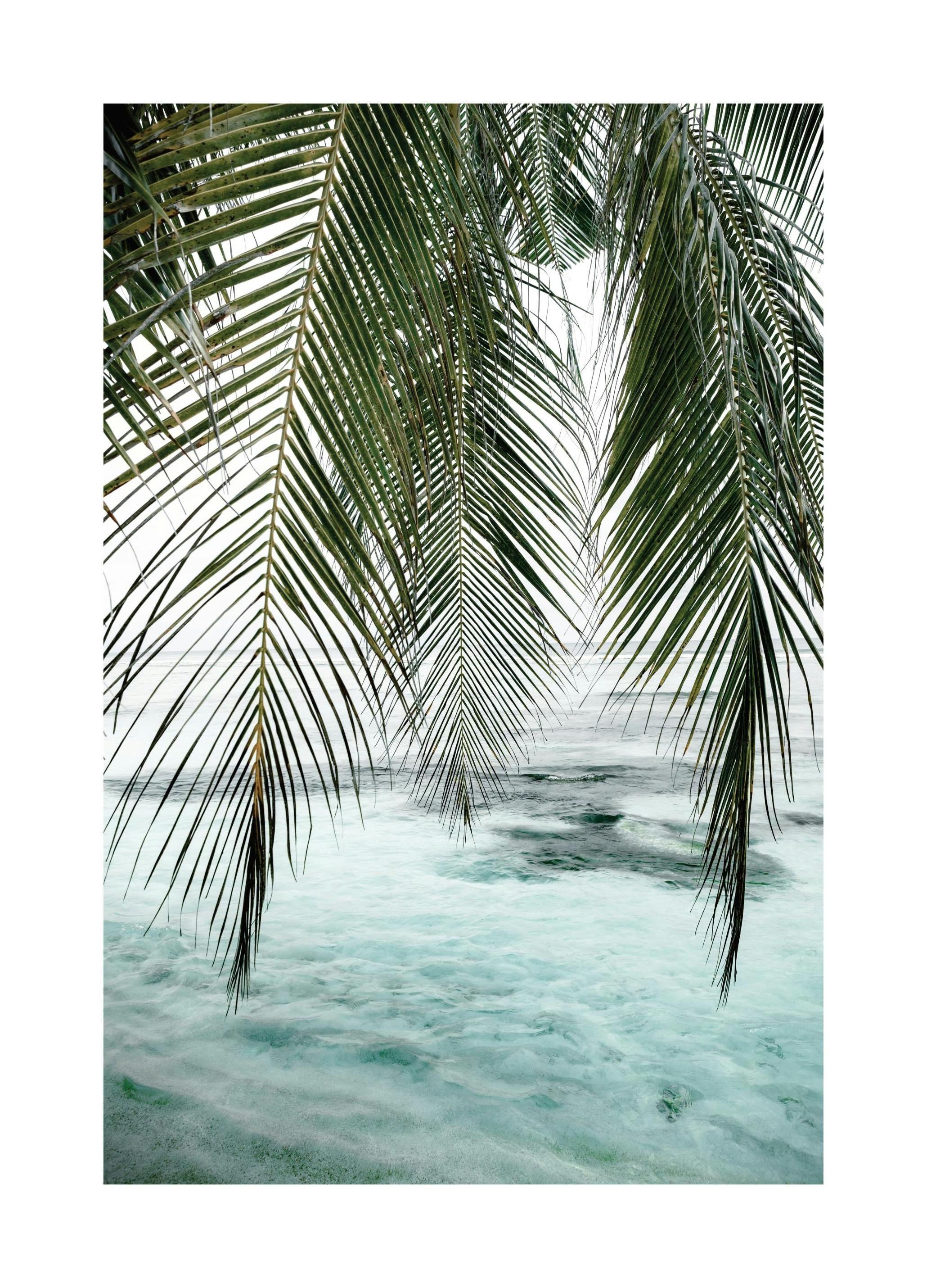 Prints - Ocean Palm Print (30x40 cm) - Photography prints