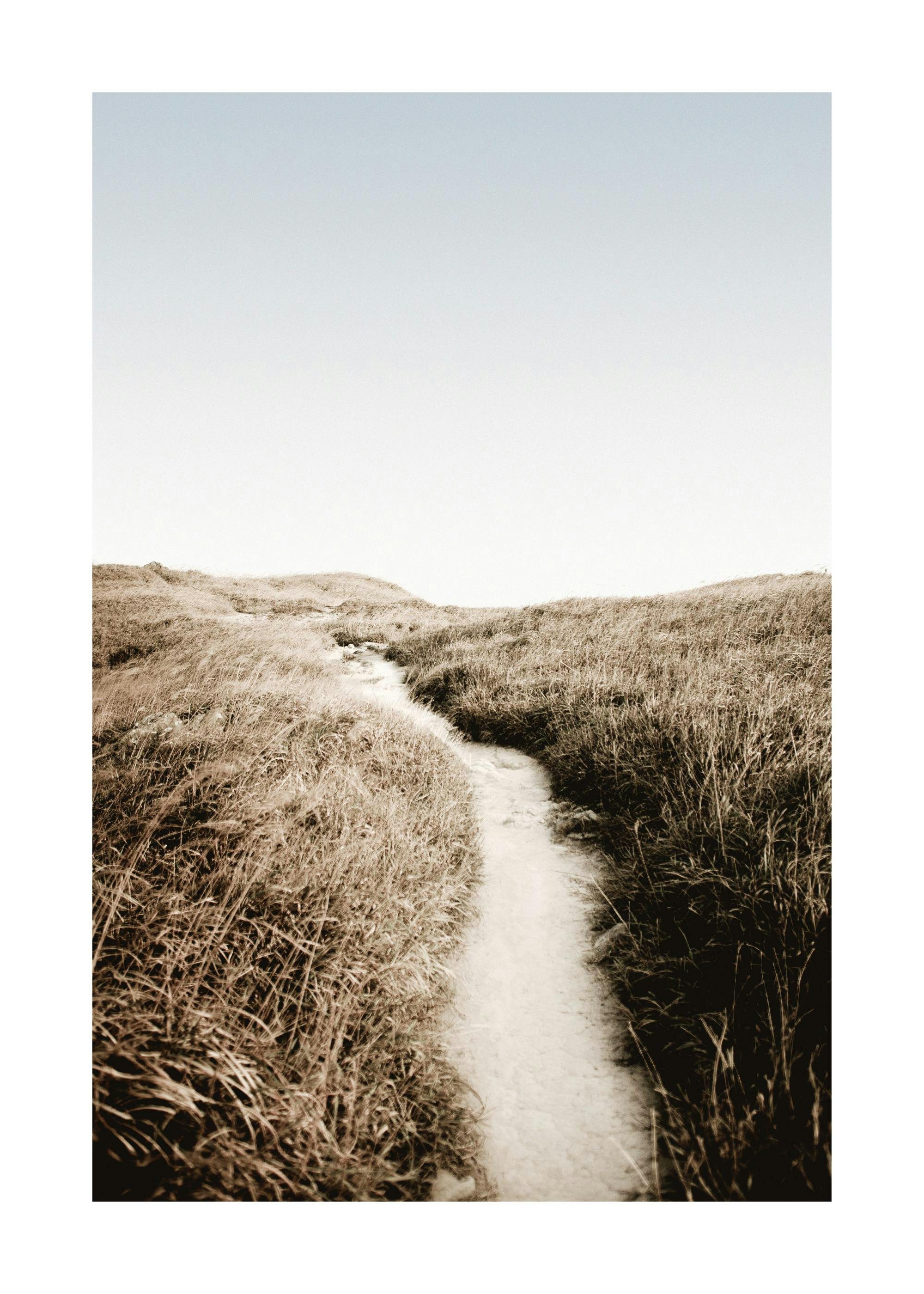 Sunset Path Print 0