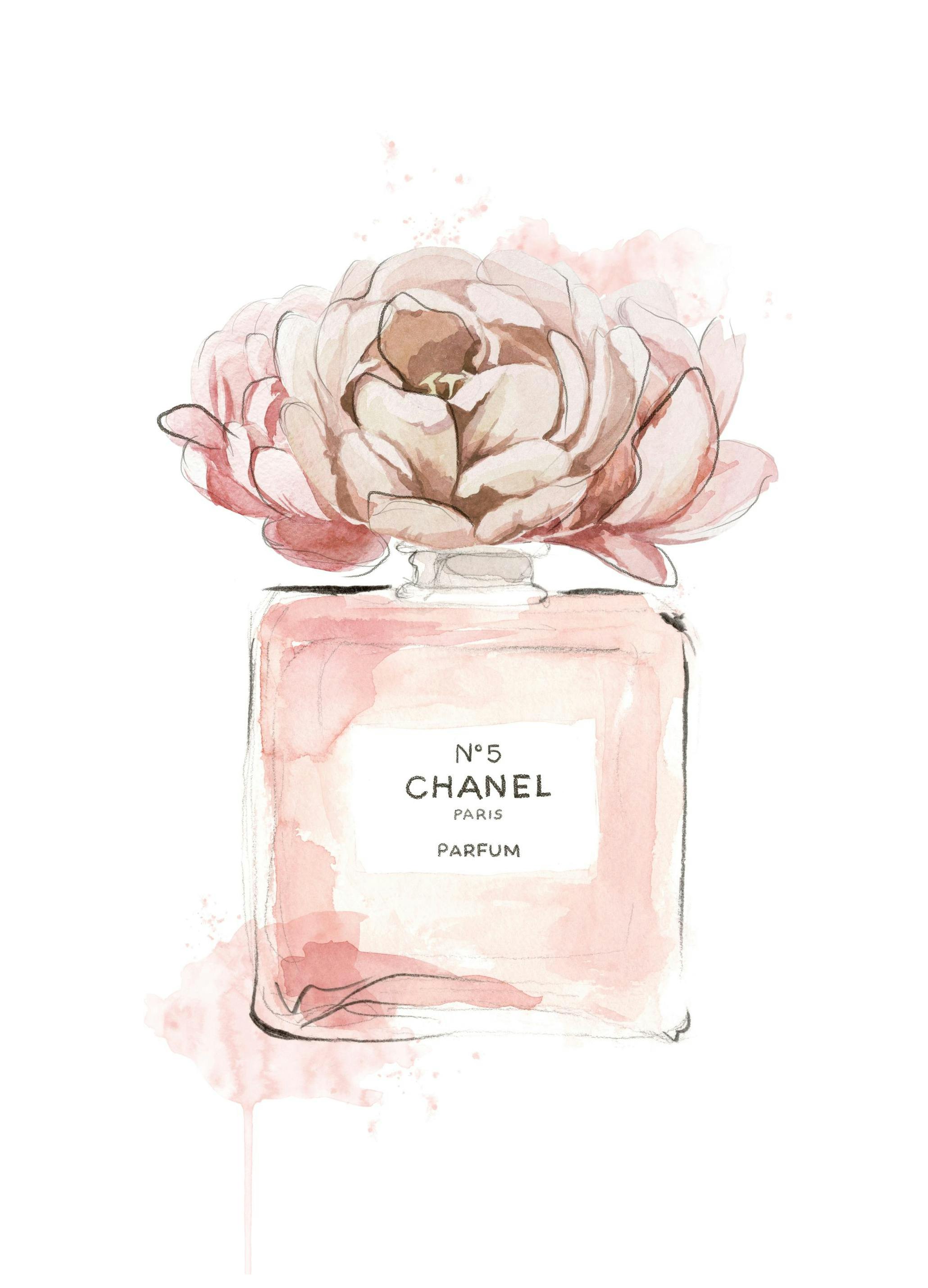 Prints - Scent of Roses Print (21x30 cm) - Illustration prints