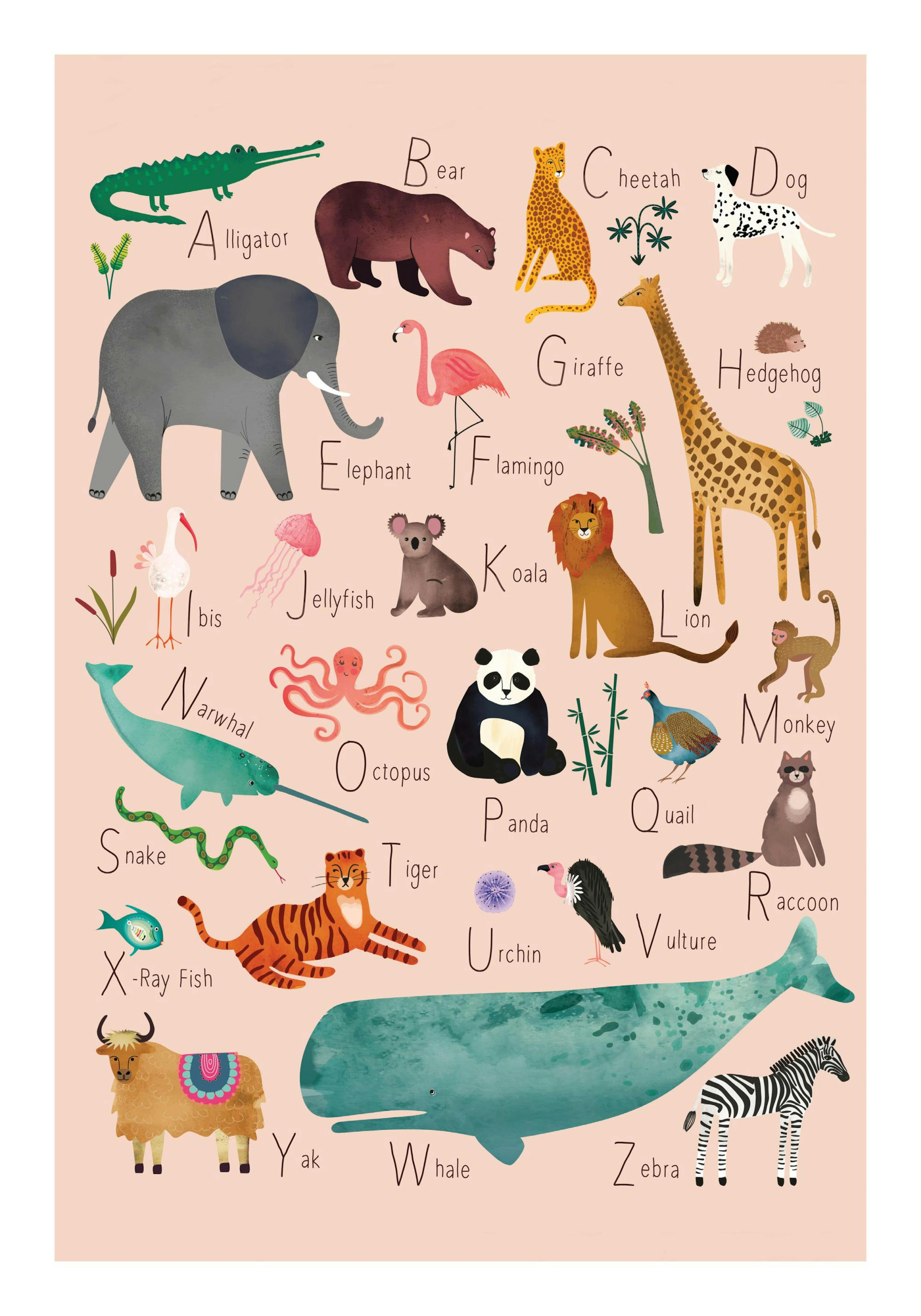 Alphabet Animals 1 Print