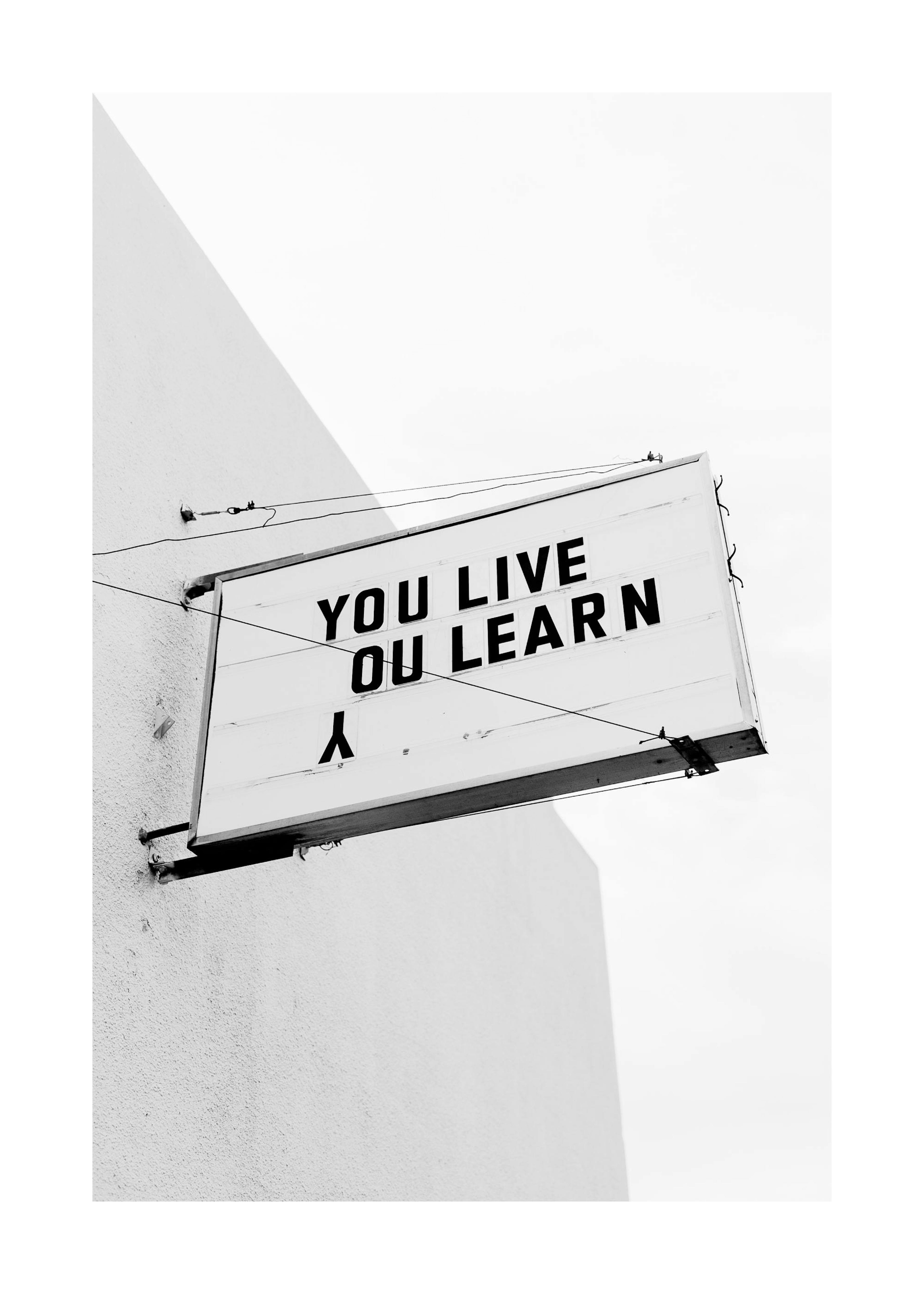 You Live You Learn Print 0